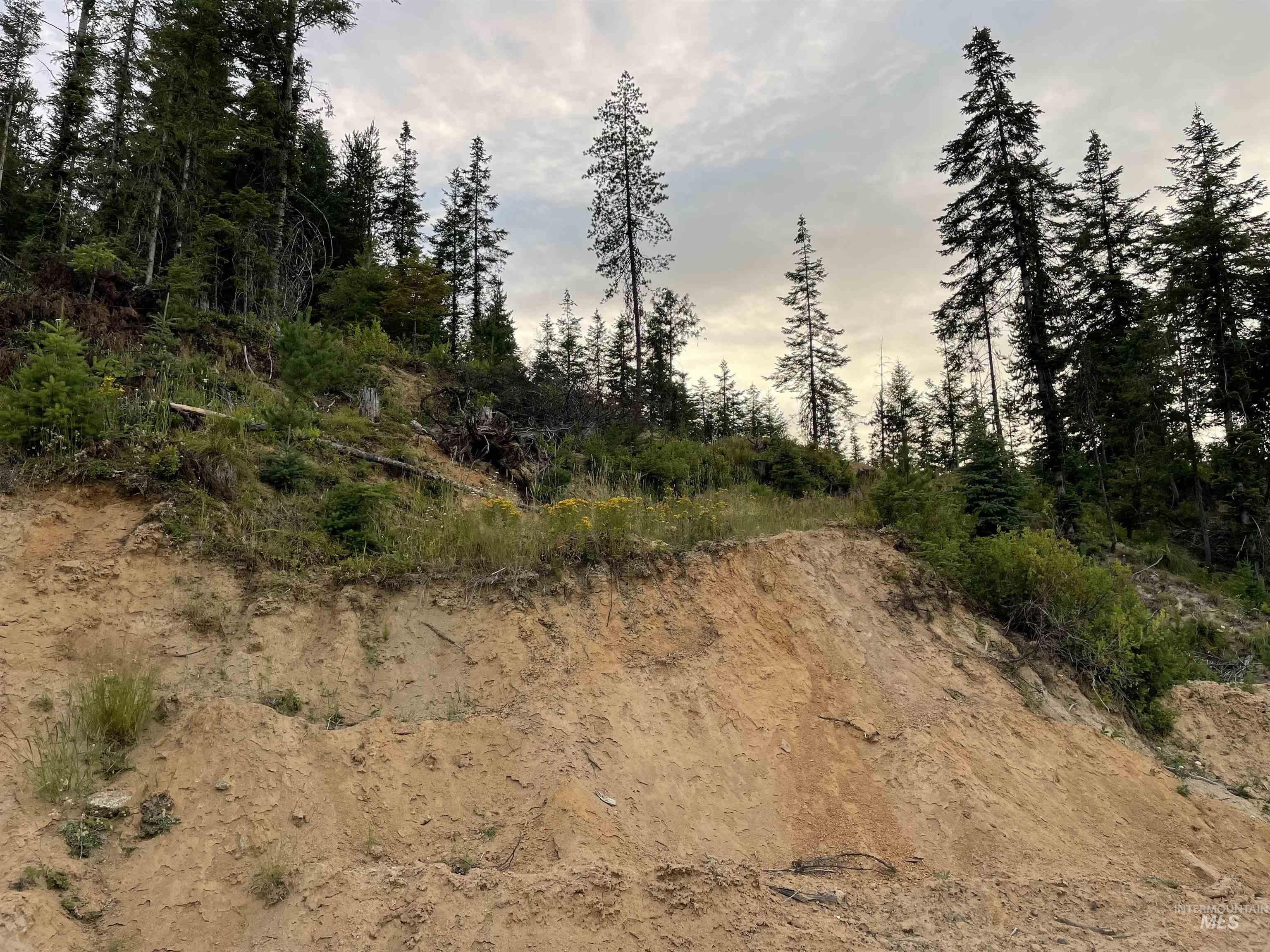 0 Highway 11, Pierce, Idaho 83546, Land For Sale, Price $415,000,MLS 98954091