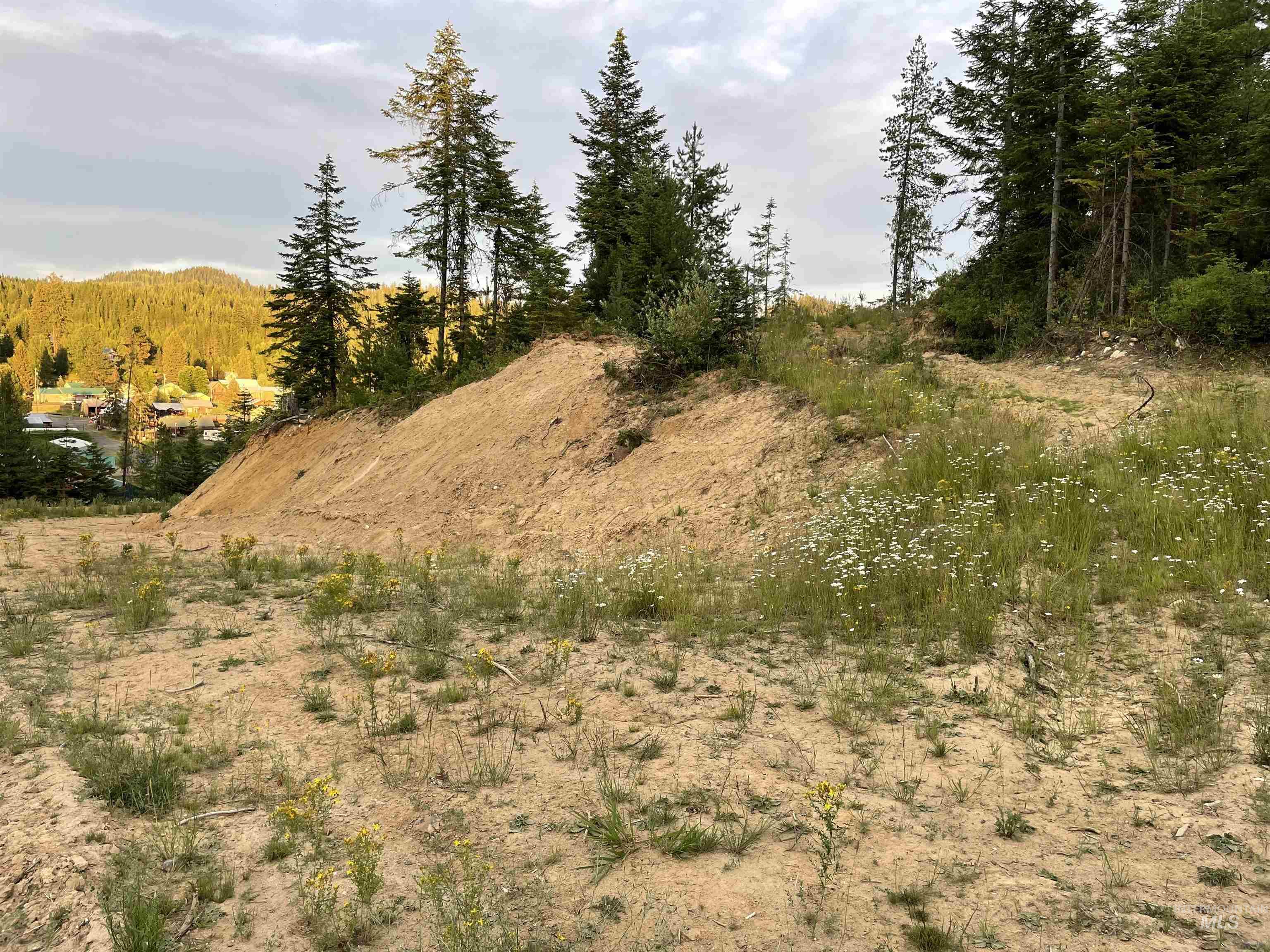 0 Highway 11, Pierce, Idaho 83546, Land For Sale, Price $415,000,MLS 98954091