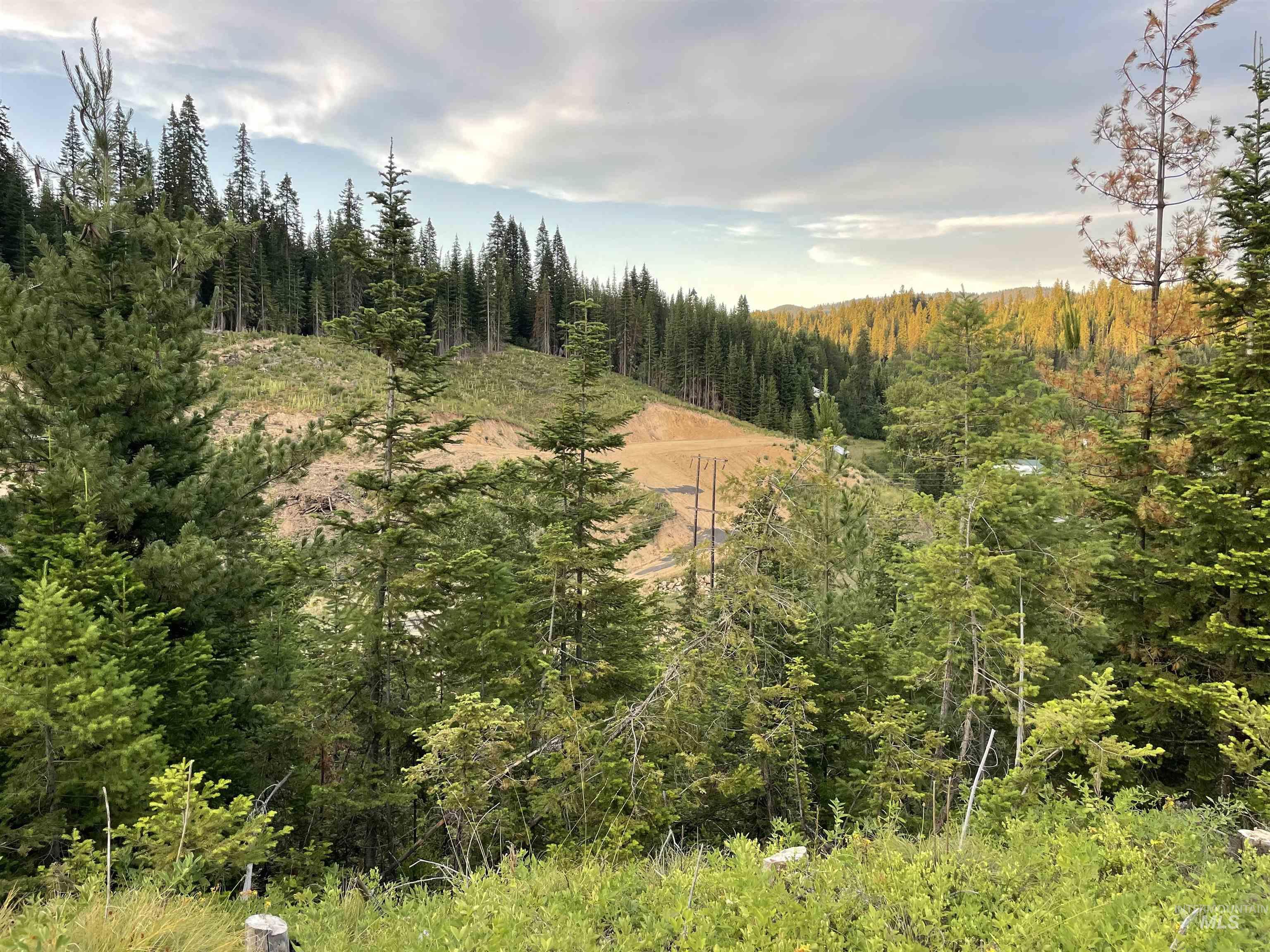 0 Highway 11, Pierce, Idaho 83546, Land For Sale, Price $415,000,MLS 98954091