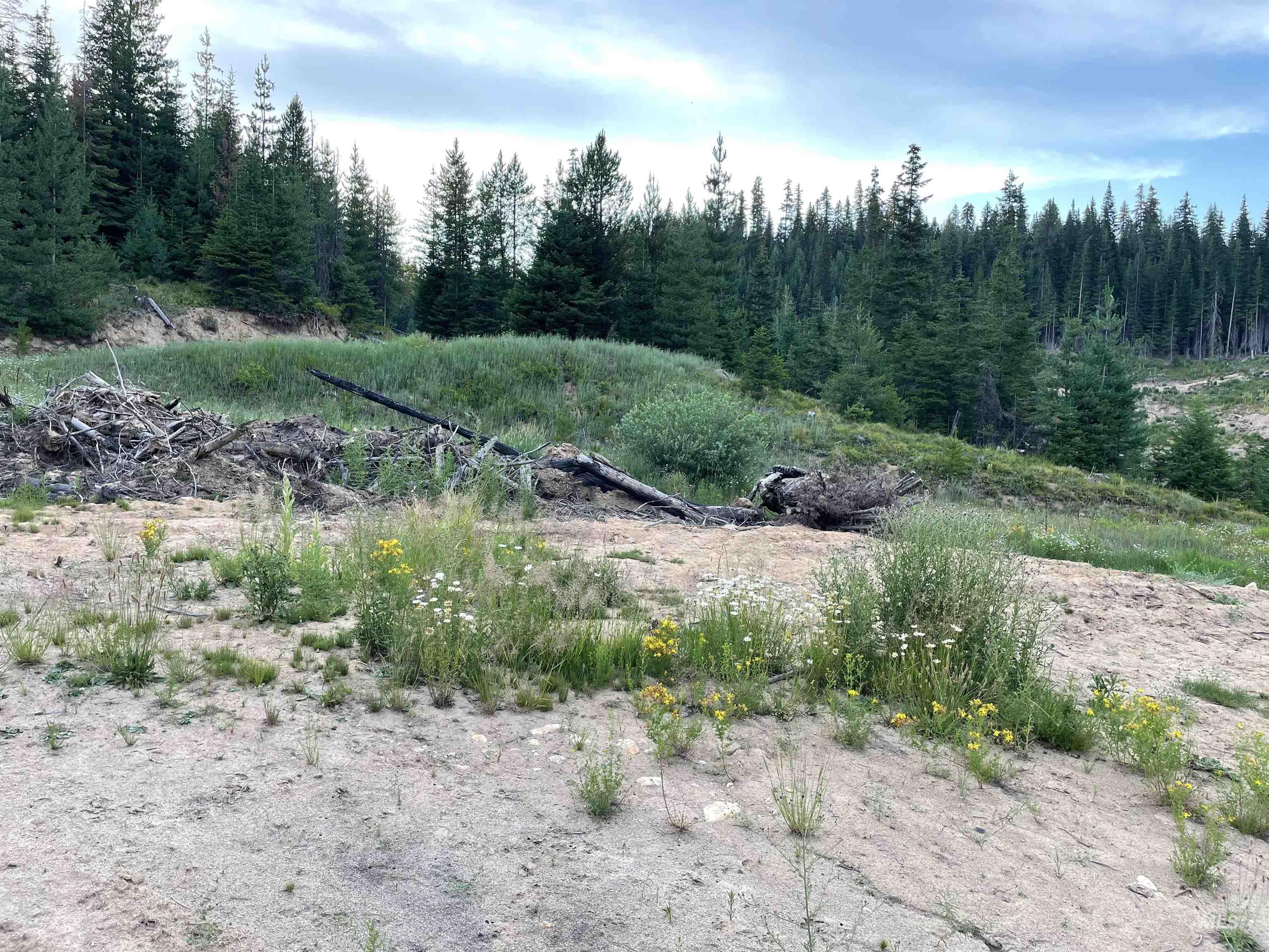 0 Highway 11, Pierce, Idaho 83546, Land For Sale, Price $415,000,MLS 98954091