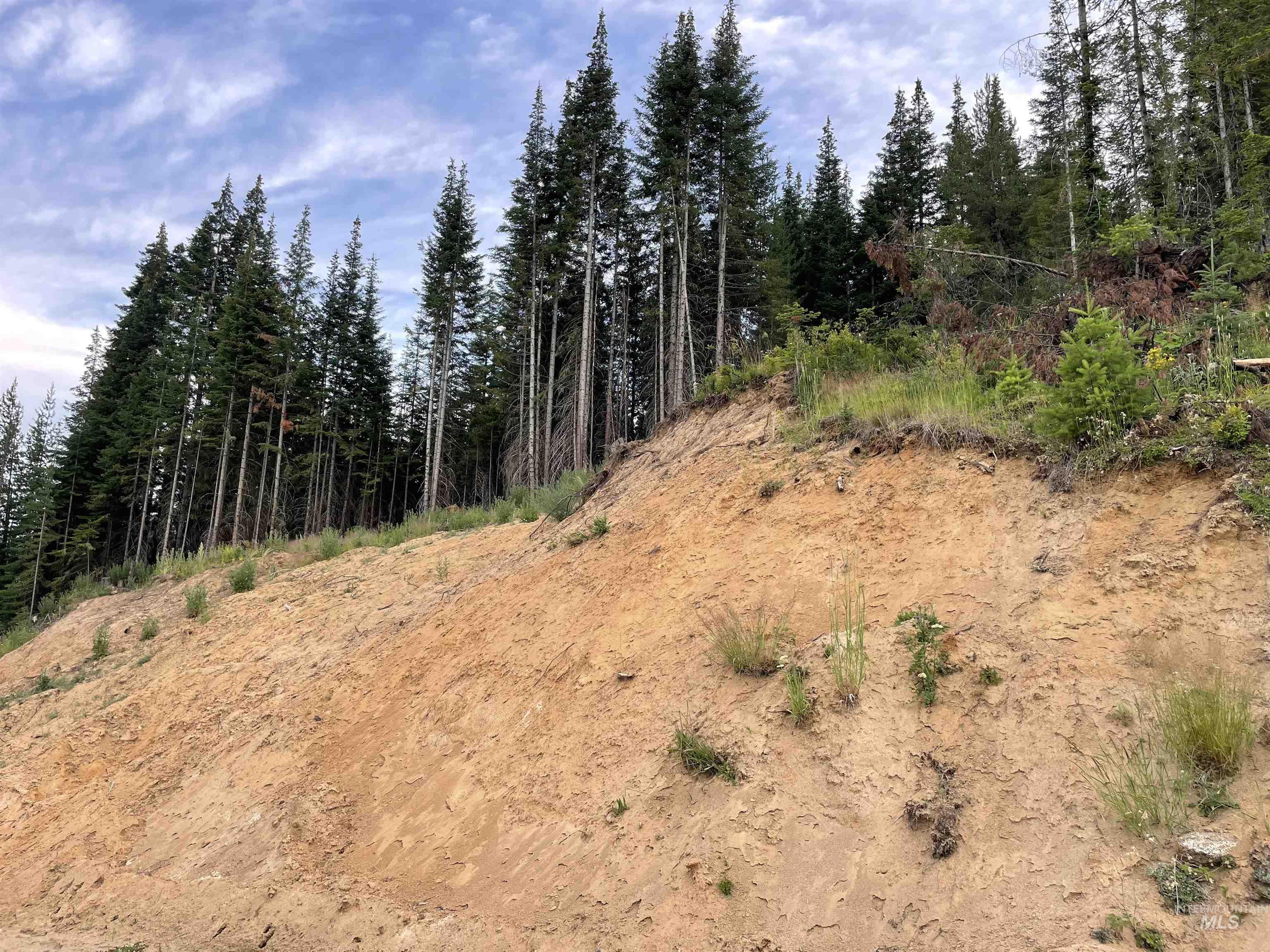 0 Highway 11, Pierce, Idaho 83546, Land For Sale, Price $415,000,MLS 98954091