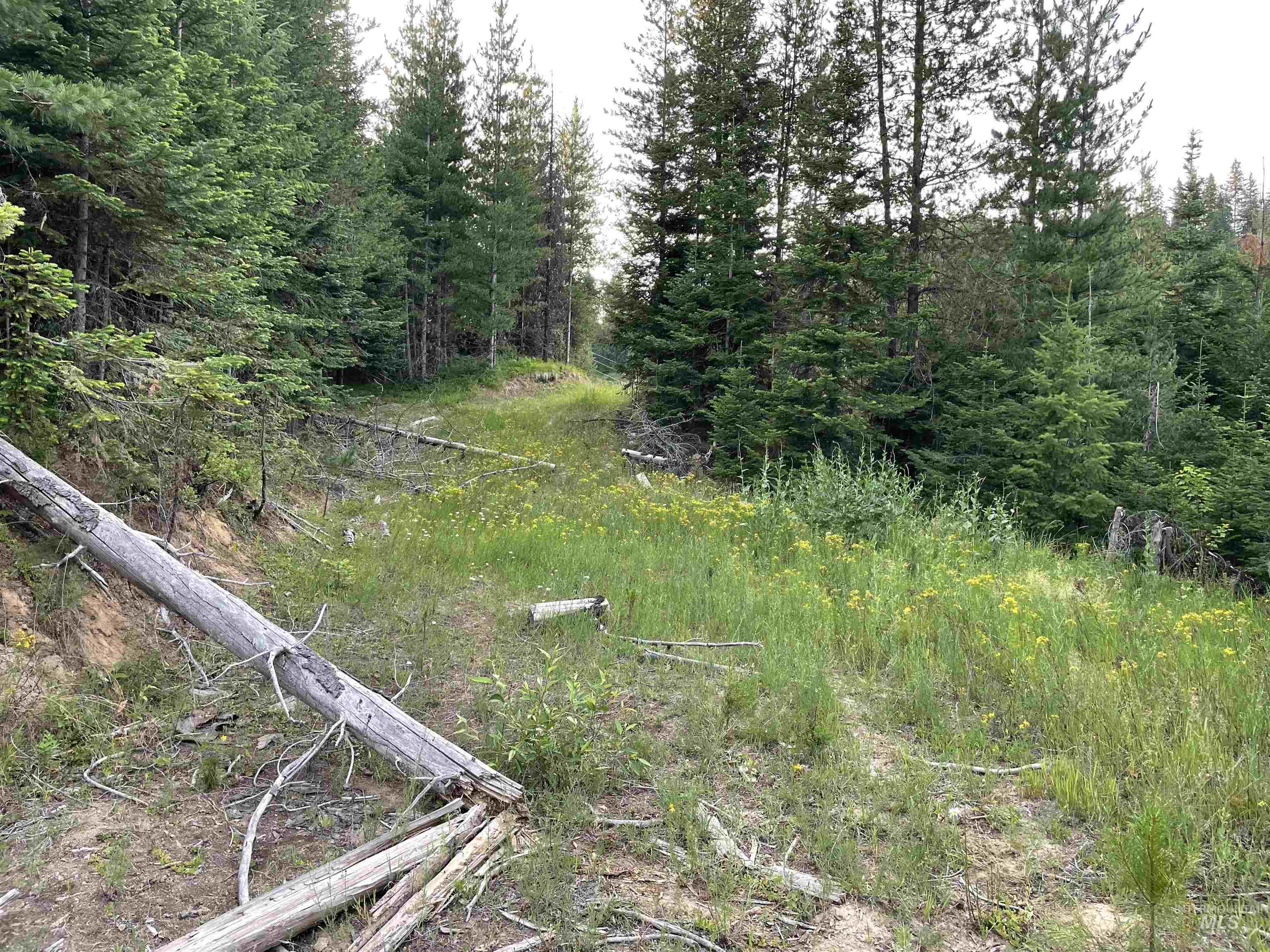 0 Highway 11, Pierce, Idaho 83546, Land For Sale, Price $415,000,MLS 98954091