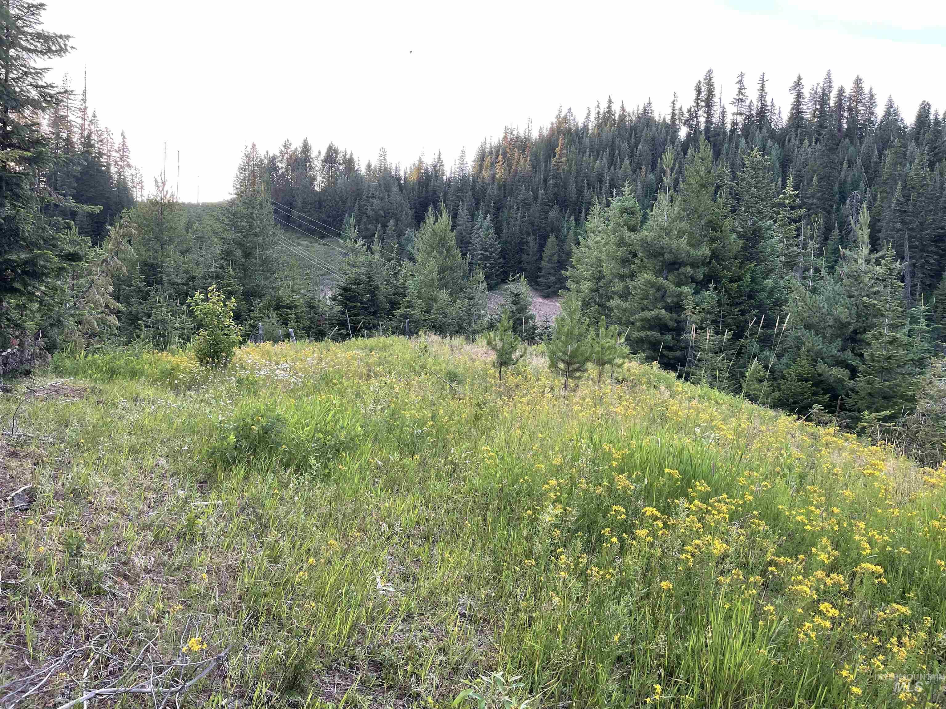 0 Highway 11, Pierce, Idaho 83546, Land For Sale, Price $415,000,MLS 98954091