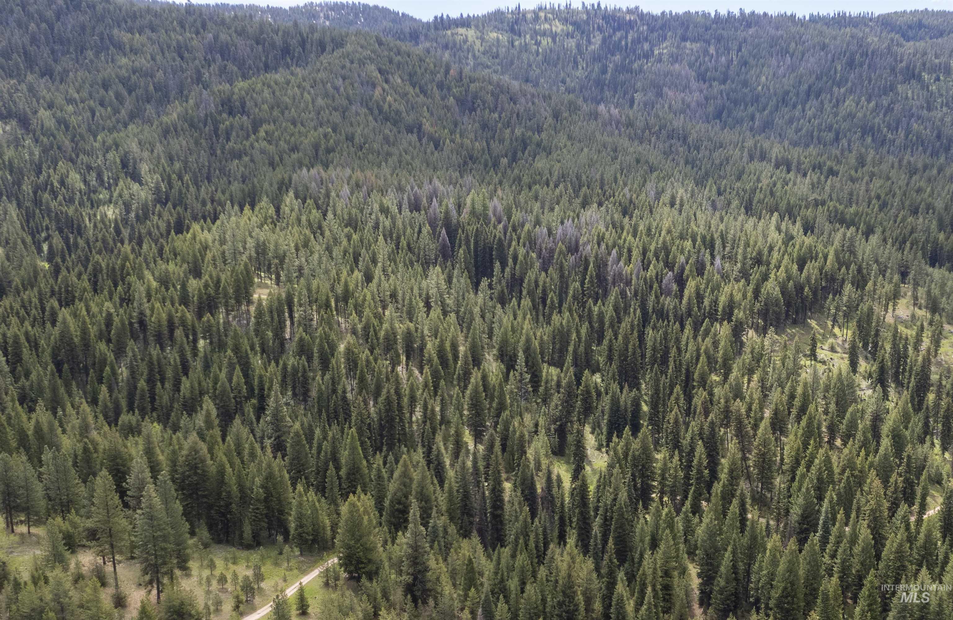 TBD 38 Clear Creek Road, Cascade, Idaho 83611, Land For Sale, Price $233,325, 98954301