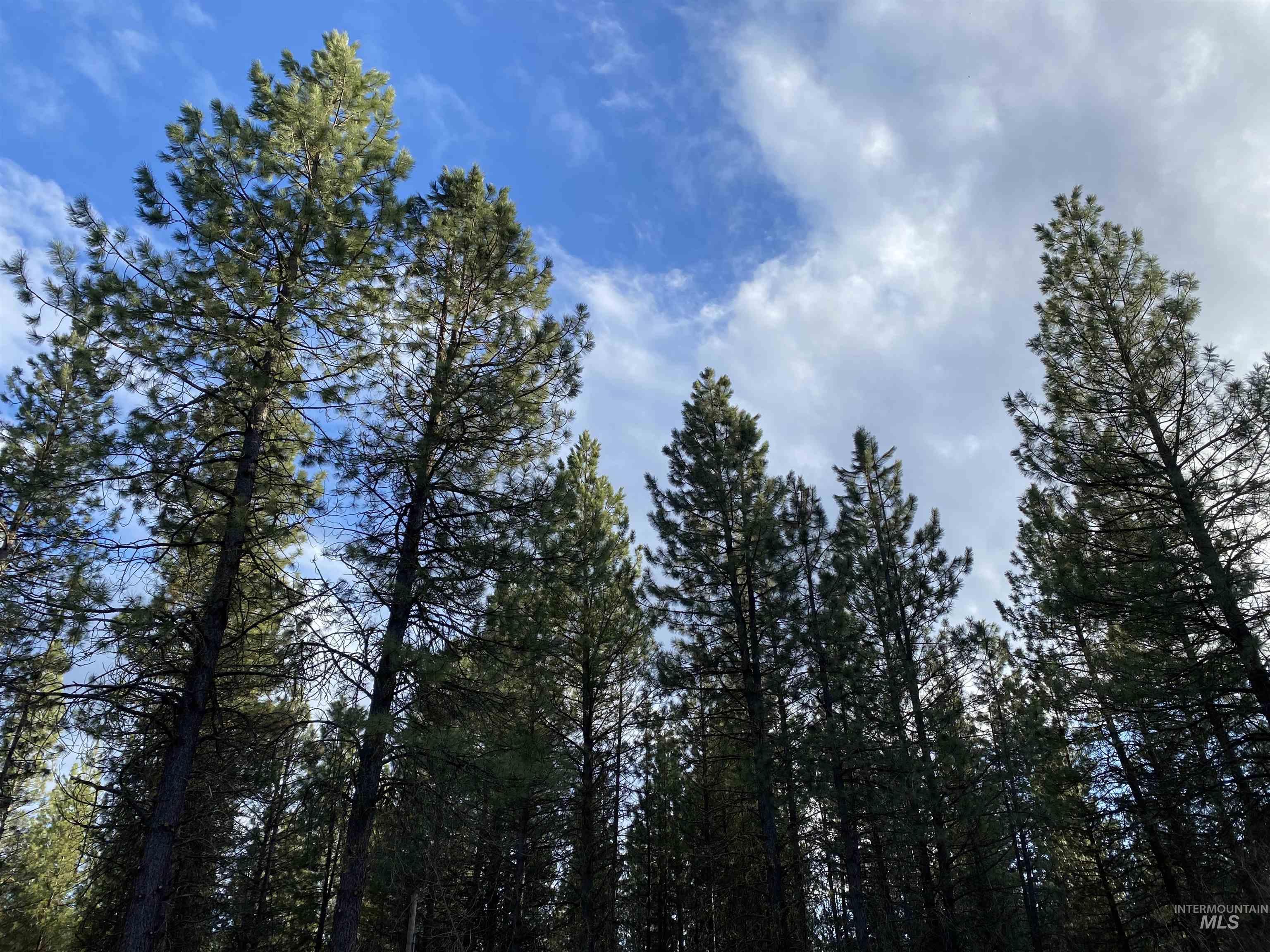 12 Woods Ln, Idaho City, Idaho 83631, 1 Bedroom, 1 Bathroom, Residential For Sale, Price $199,900, 98954433
