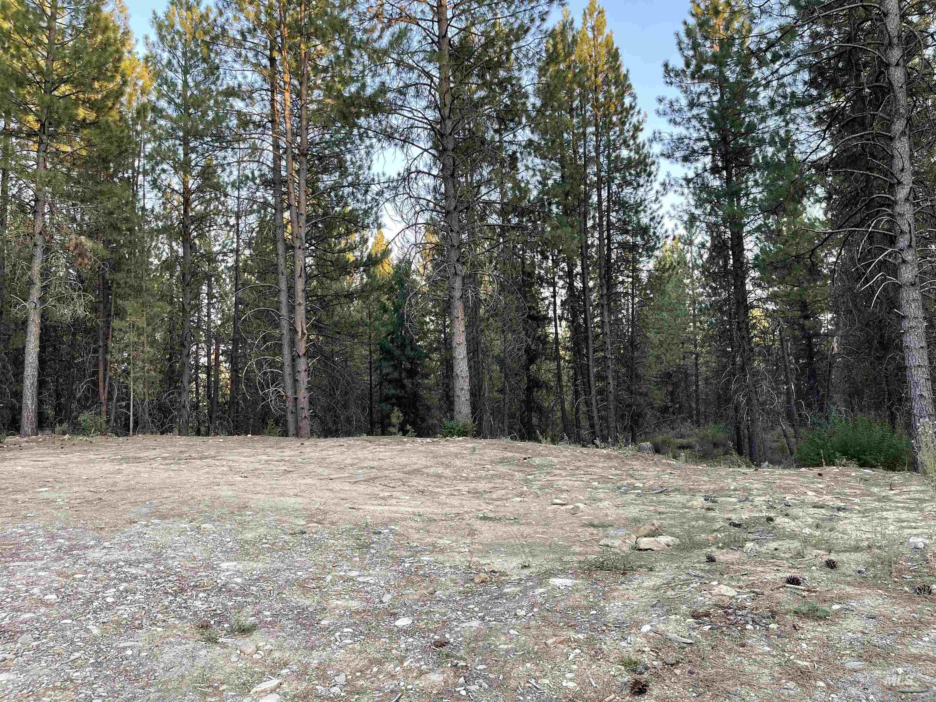 12 Woods Ln, Idaho City, Idaho 83631, 1 Bedroom, 1 Bathroom, Residential For Sale, Price $199,900, 98954433