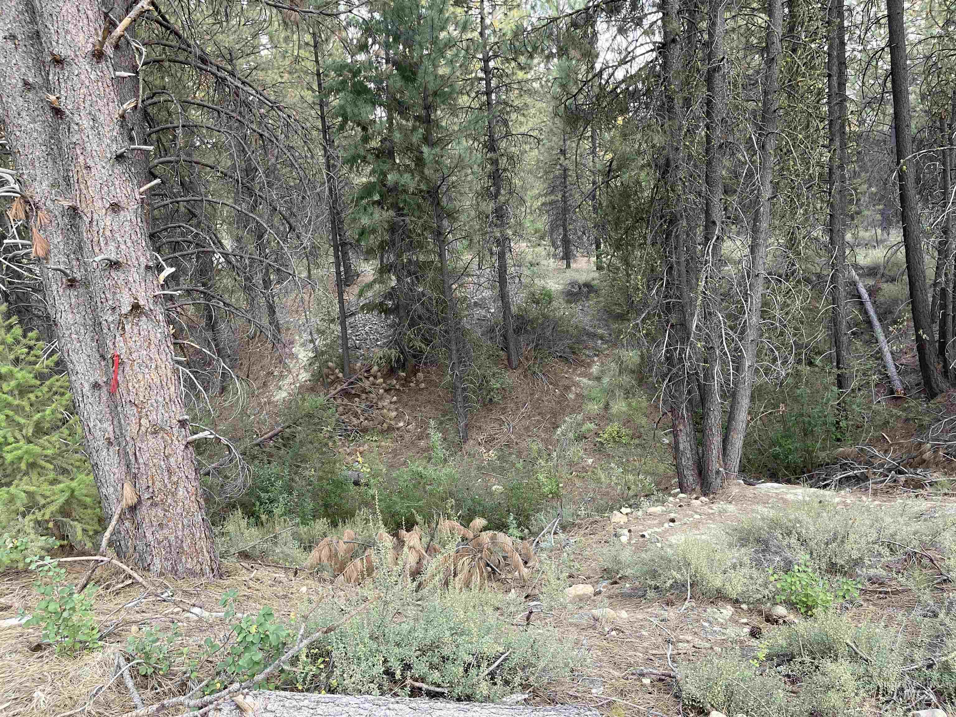 12 Woods Ln, Idaho City, Idaho 83631, 1 Bedroom, 1 Bathroom, Residential For Sale, Price $199,900, 98954433