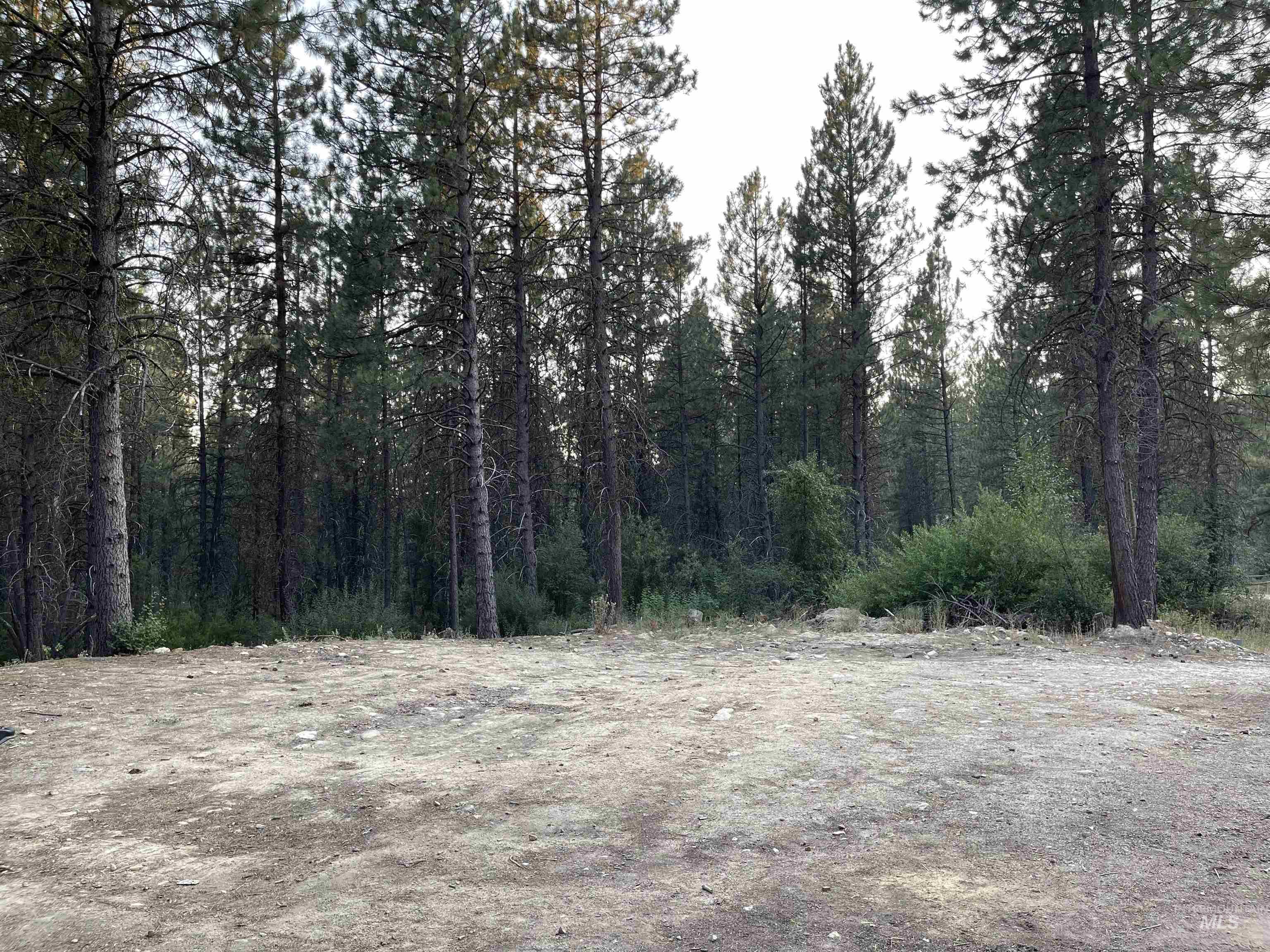 12 Woods Ln, Idaho City, Idaho 83631, 1 Bedroom, 1 Bathroom, Residential For Sale, Price $199,900, 98954433