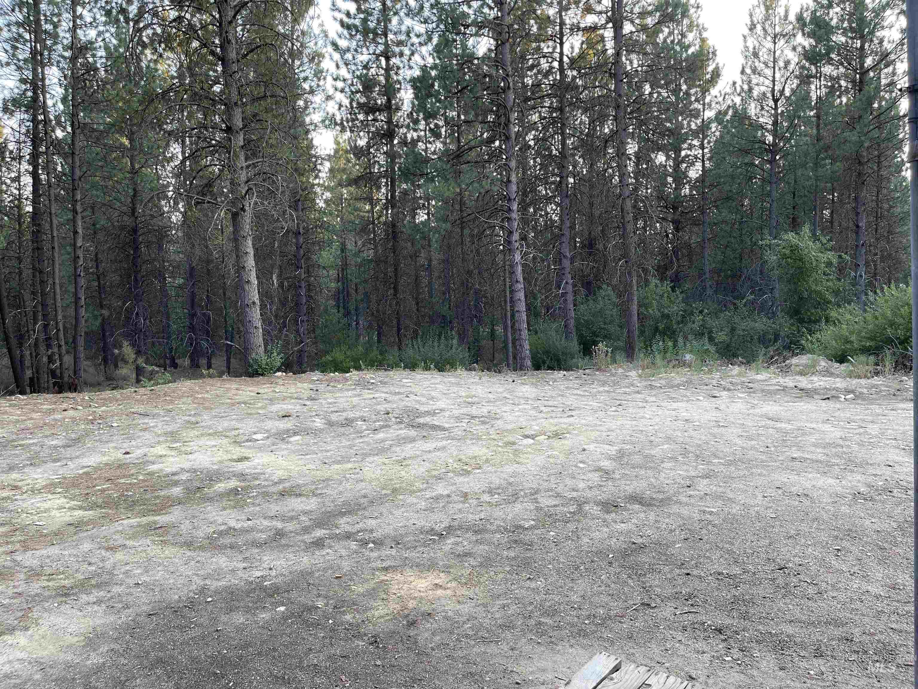 12 Woods Ln, Idaho City, Idaho 83631, 1 Bedroom, 1 Bathroom, Residential For Sale, Price $199,900, 98954433