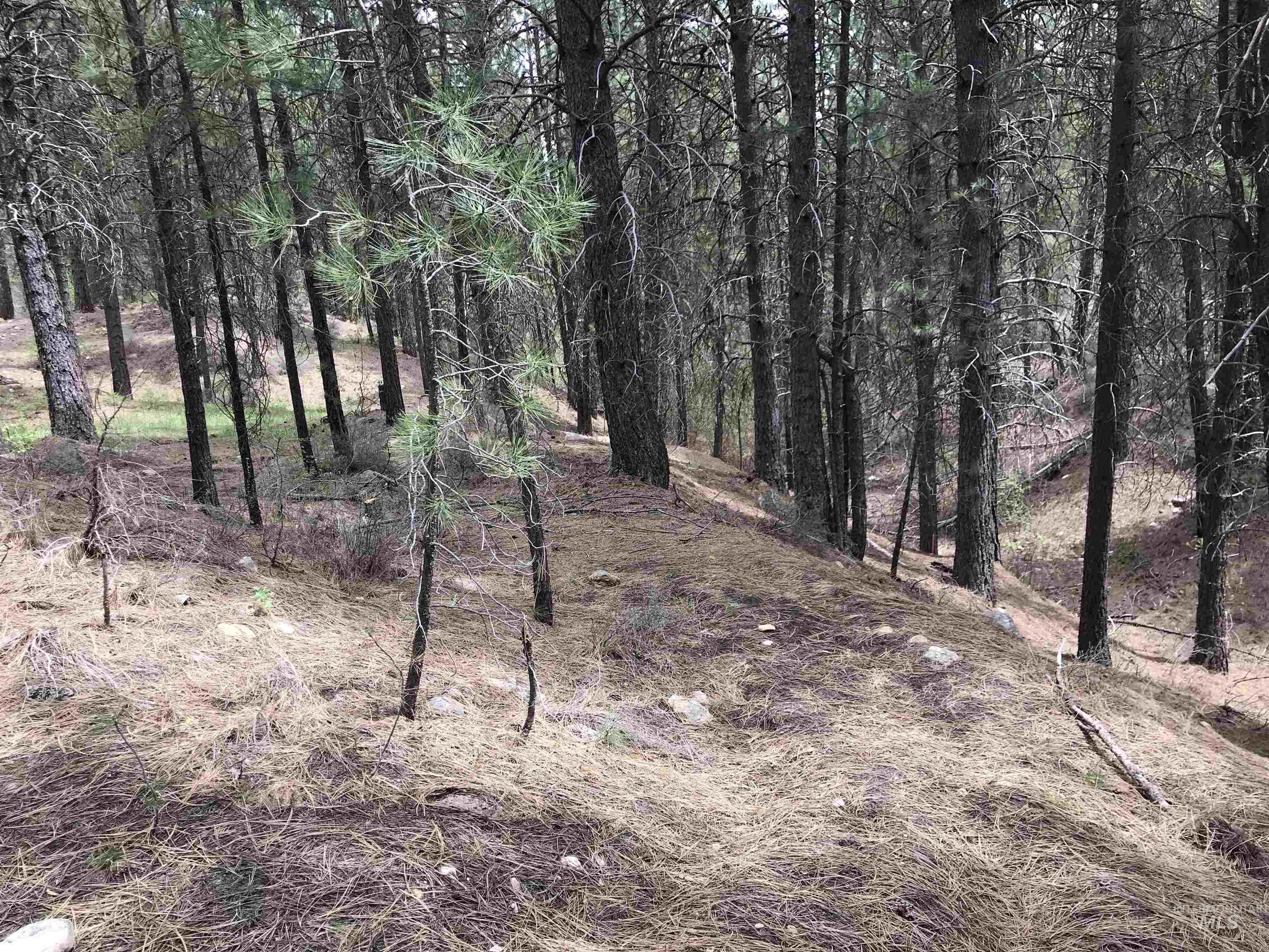 12 Woods Ln, Idaho City, Idaho 83631, 1 Bedroom, 1 Bathroom, Residential For Sale, Price $199,900, 98954433
