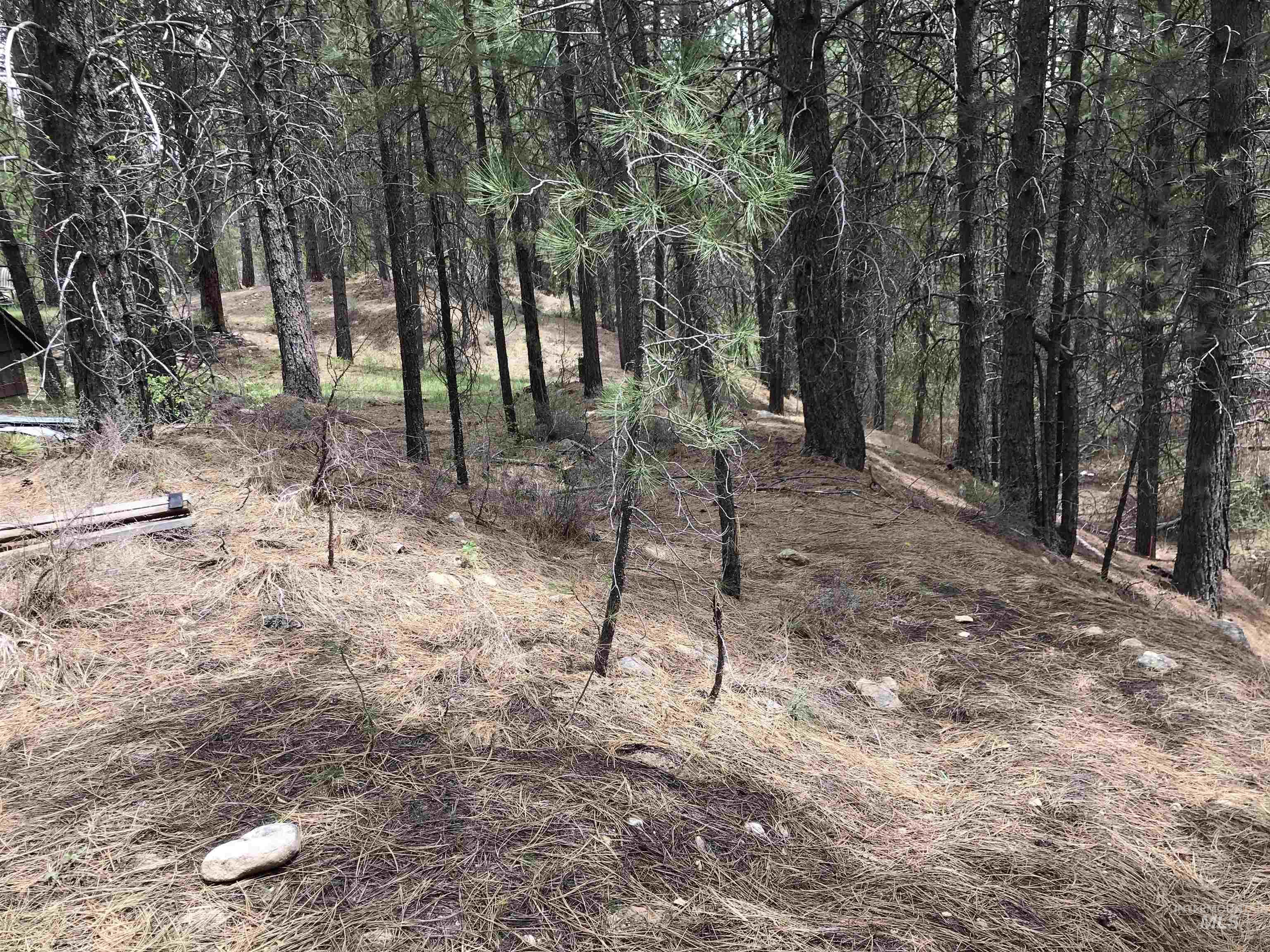 12 Woods Ln, Idaho City, Idaho 83631, 1 Bedroom, 1 Bathroom, Residential For Sale, Price $199,900, 98954433