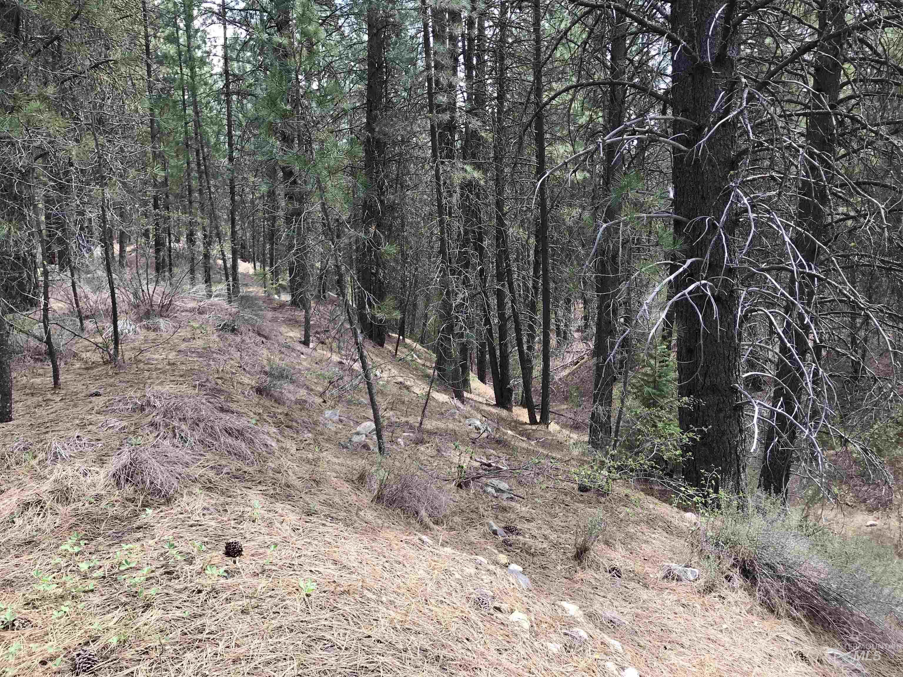12 Woods Ln, Idaho City, Idaho 83631, 1 Bedroom, 1 Bathroom, Residential For Sale, Price $199,900, 98954433