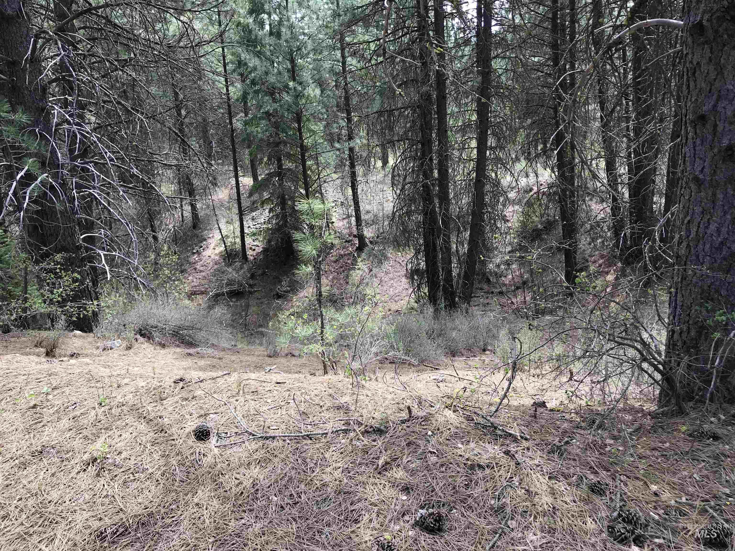 12 Woods Ln, Idaho City, Idaho 83631, 1 Bedroom, 1 Bathroom, Residential For Sale, Price $199,900, 98954433