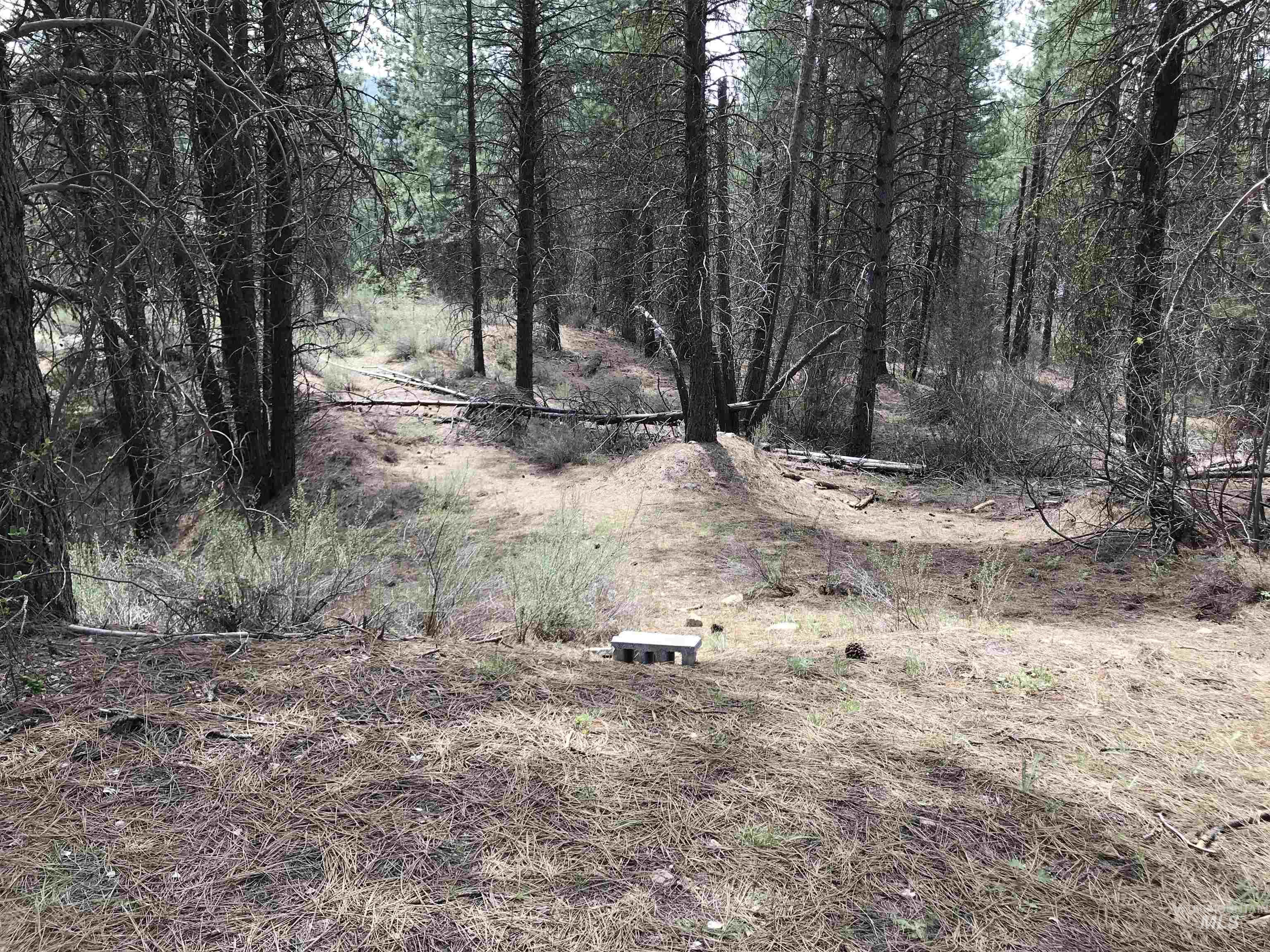 12 Woods Ln, Idaho City, Idaho 83631, 1 Bedroom, 1 Bathroom, Residential For Sale, Price $199,900, 98954433