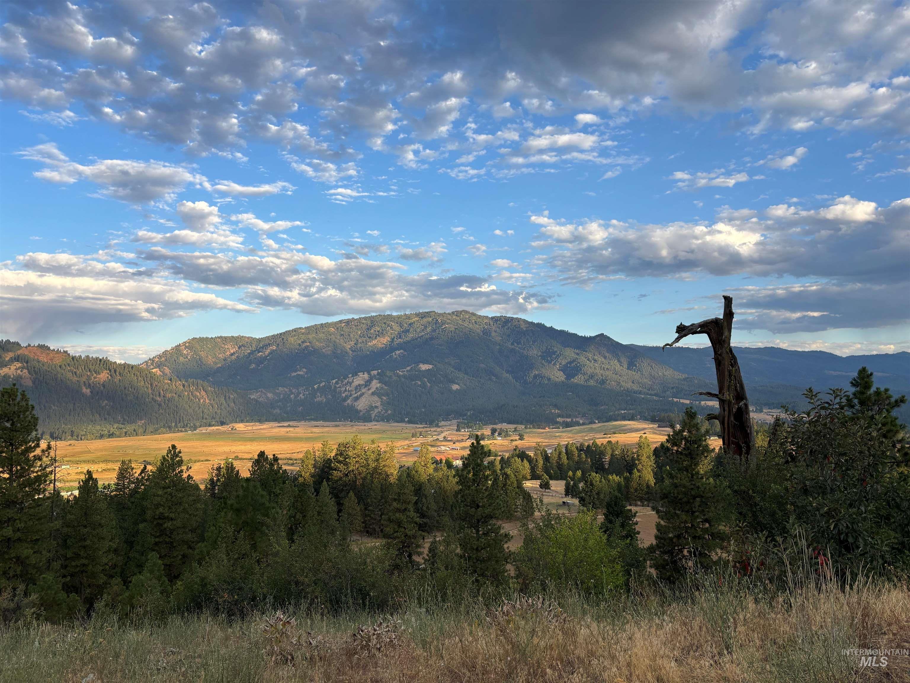 TBD Lot C Coulter Lane, Garden Valley, Idaho 83622, Land For Sale, Price $349,000,MLS 98954667