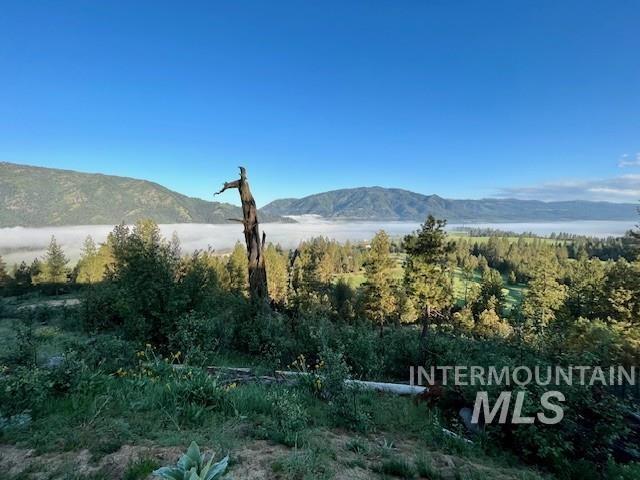 TBD Lot C Coulter Lane, Garden Valley, Idaho 83622, Land For Sale, Price $349,000,MLS 98954667