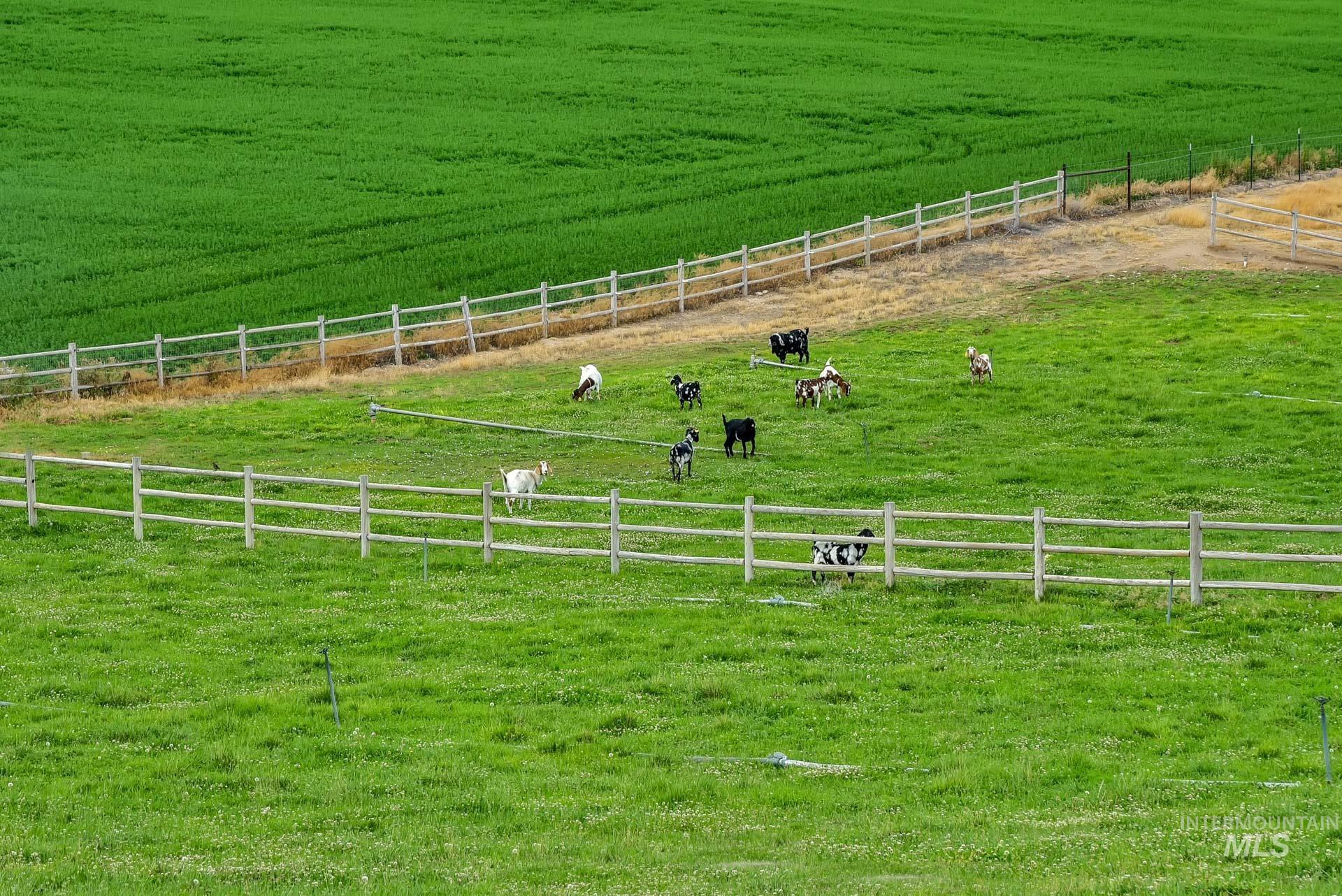 9770 Farner Rd, Nampa, Idaho 83686-9148, 3 Bedrooms, 3 Bathrooms, Residential For Sale, Price $1,200,000,MLS 98954678