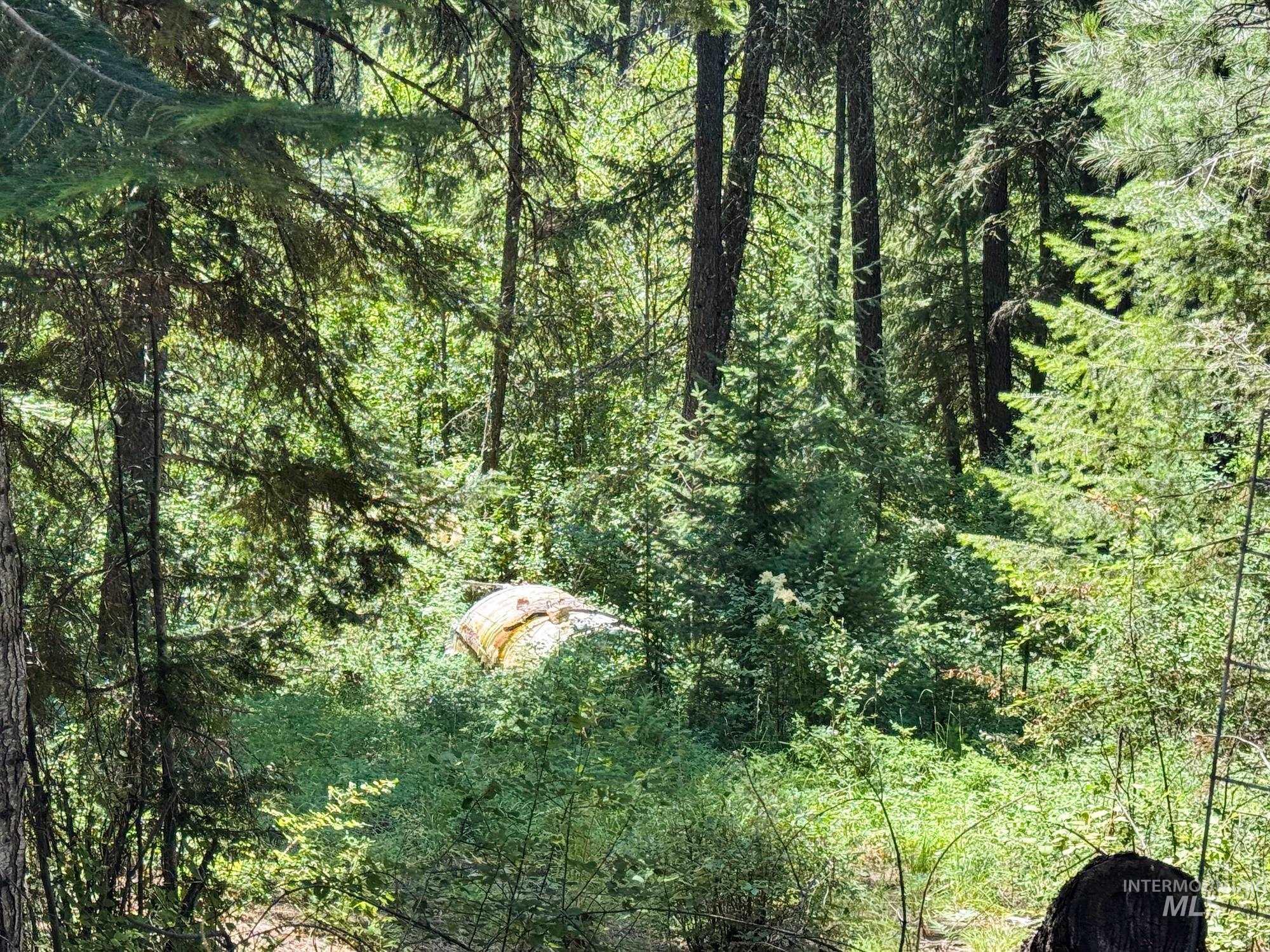 5110 Highway 95, New Meadows, Idaho 83654, 2 Bedrooms, 2 Bathrooms, Residential For Sale, Price $3,300,000,MLS 98954751