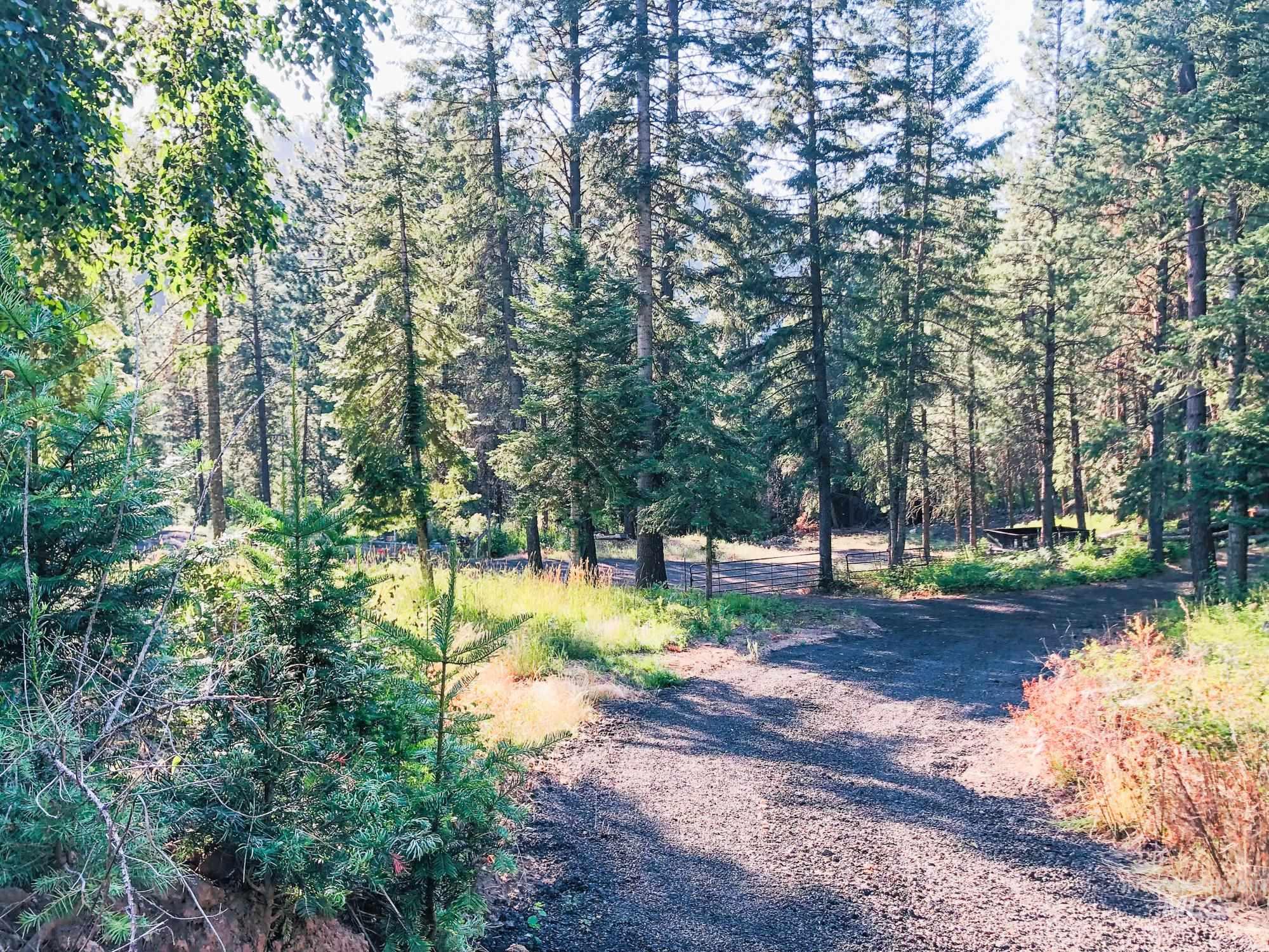5110 Highway 95, New Meadows, Idaho 83654, 2 Bedrooms, 2 Bathrooms, Residential For Sale, Price $3,300,000, 98954751