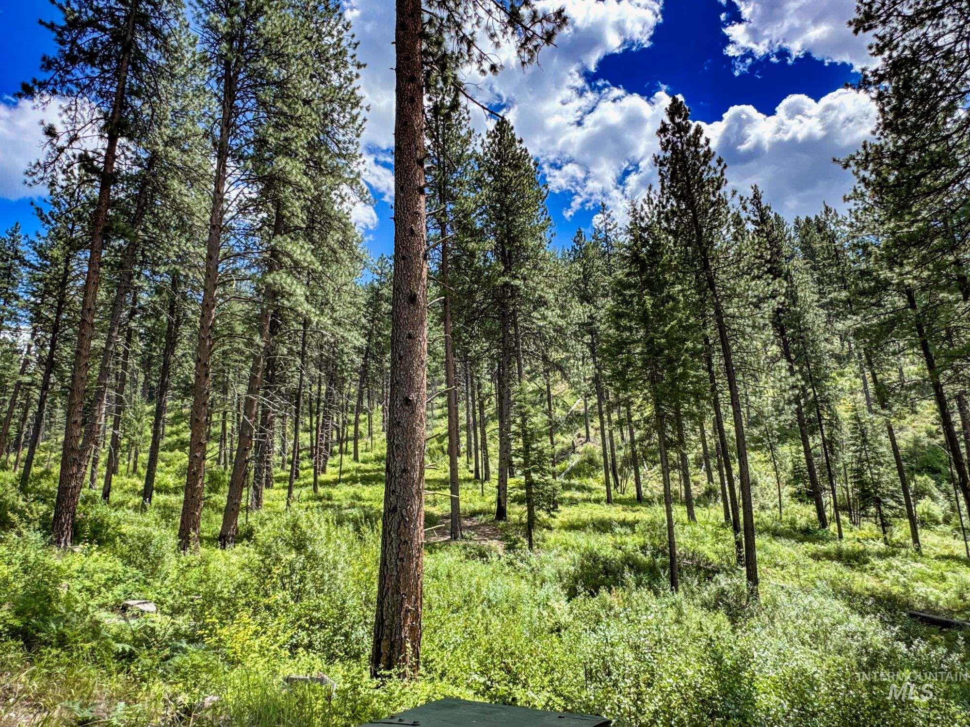 5110 Highway 95, New Meadows, Idaho 83654, 2 Bedrooms, 2 Bathrooms, Residential For Sale, Price $3,300,000, 98954751