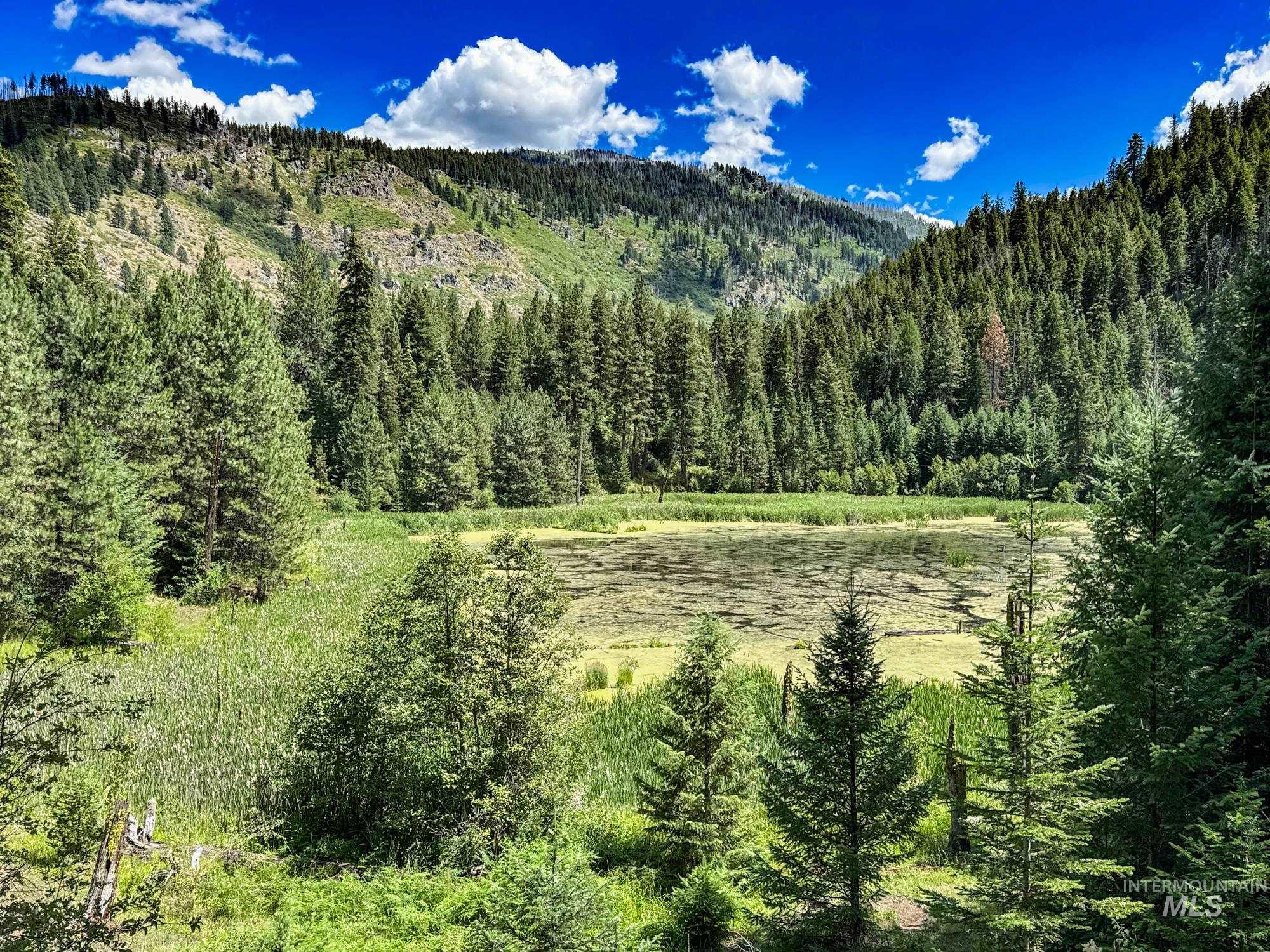 5110 Highway 95, New Meadows, Idaho 83654, 2 Bedrooms, 2 Bathrooms, Residential For Sale, Price $3,300,000, 98954751
