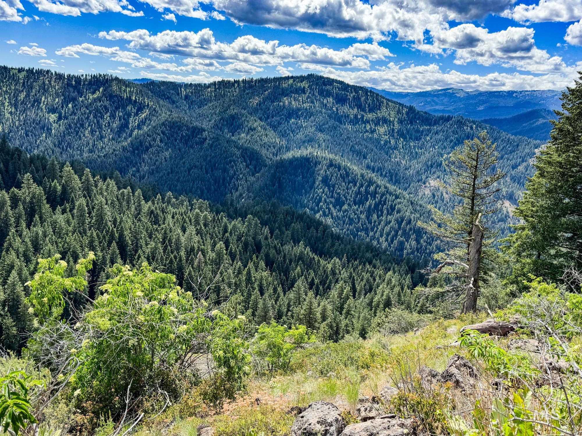 5110 Highway 95, New Meadows, Idaho 83654, 2 Bedrooms, 2 Bathrooms, Residential For Sale, Price $3,300,000, 98954751