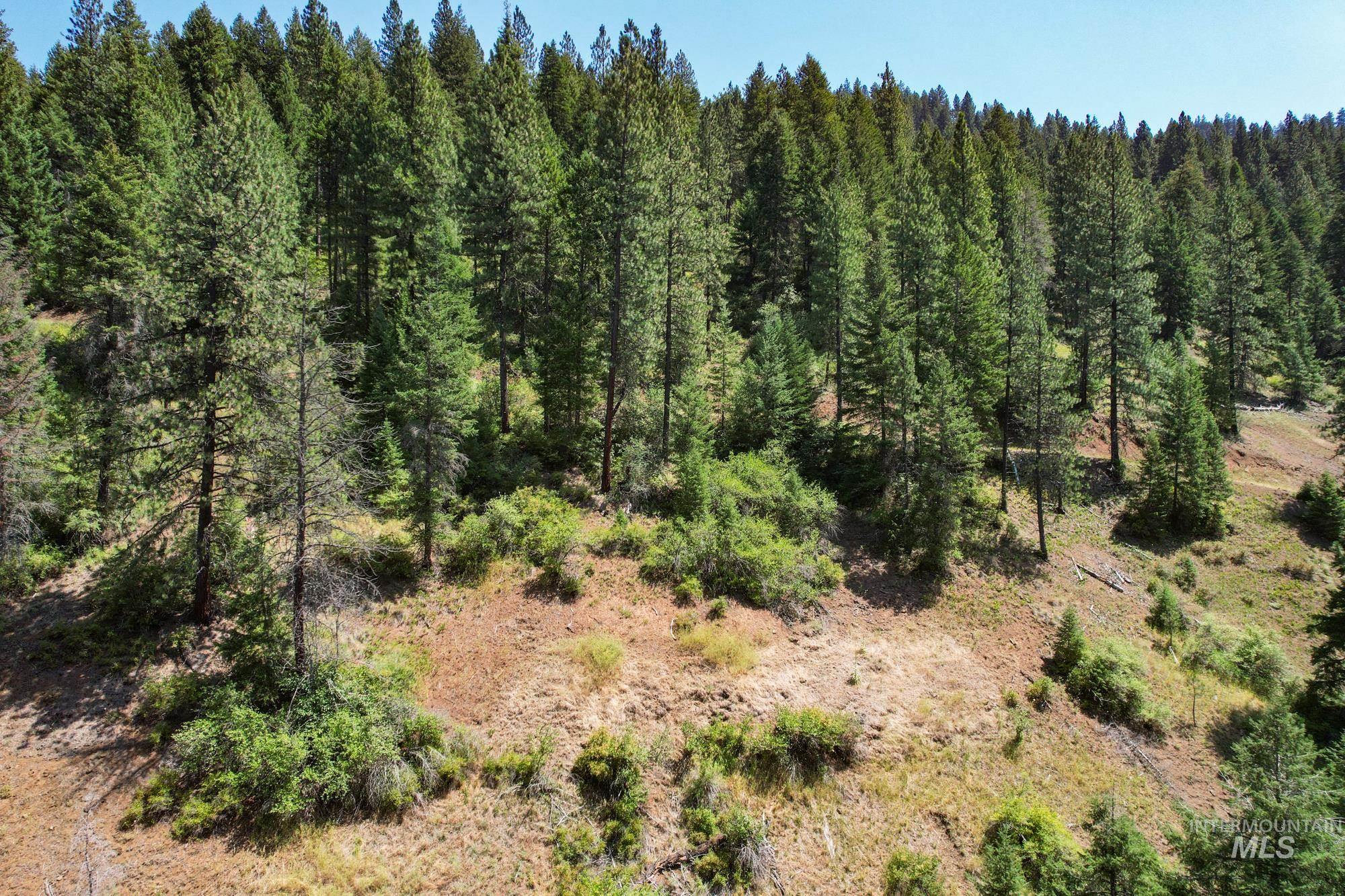 5110 Highway 95, New Meadows, Idaho 83654, 2 Bedrooms, 2 Bathrooms, Residential For Sale, Price $3,300,000, 98954751