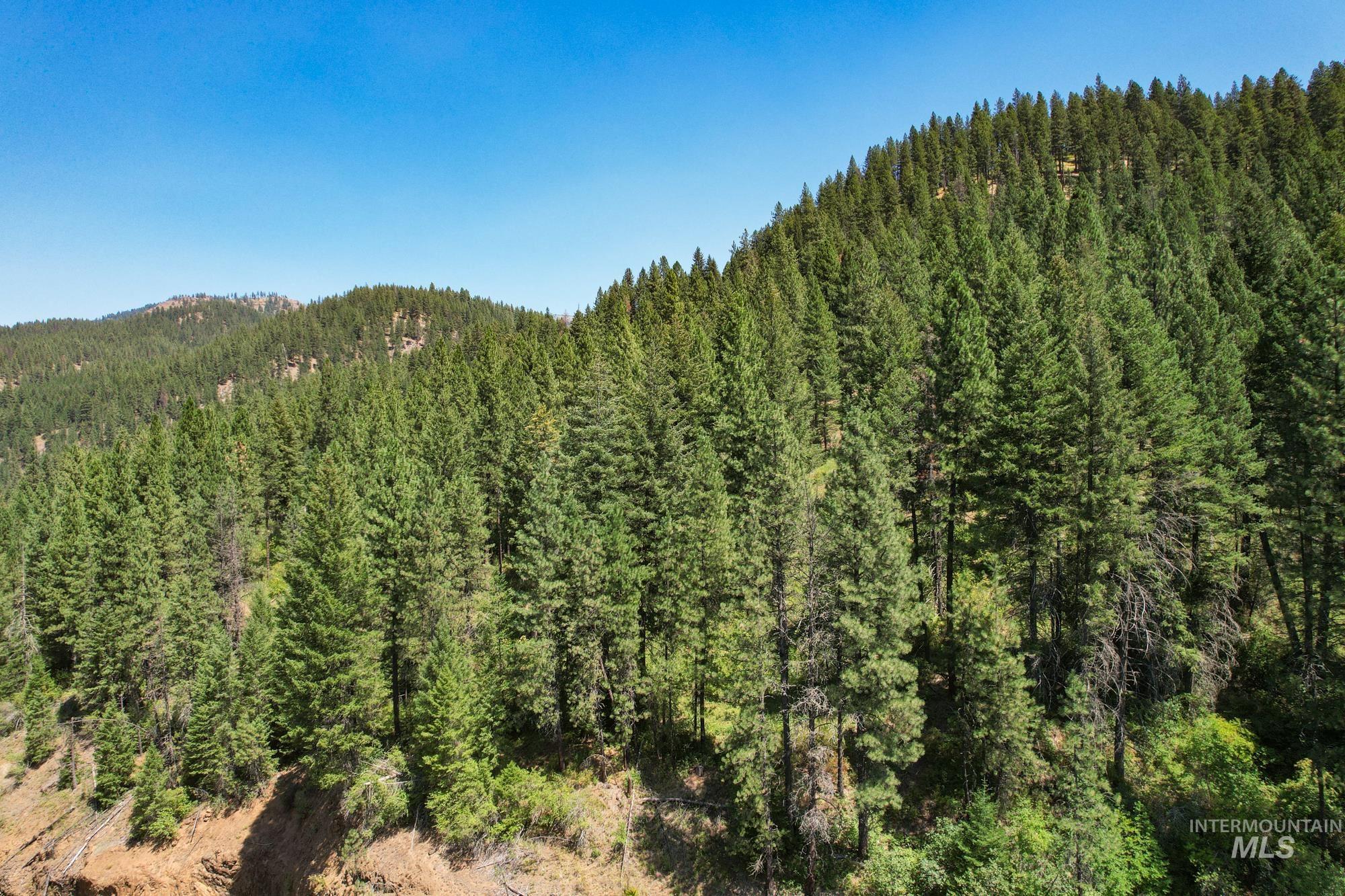 5110 Highway 95, New Meadows, Idaho 83654, 2 Bedrooms, 2 Bathrooms, Residential For Sale, Price $3,300,000, 98954751