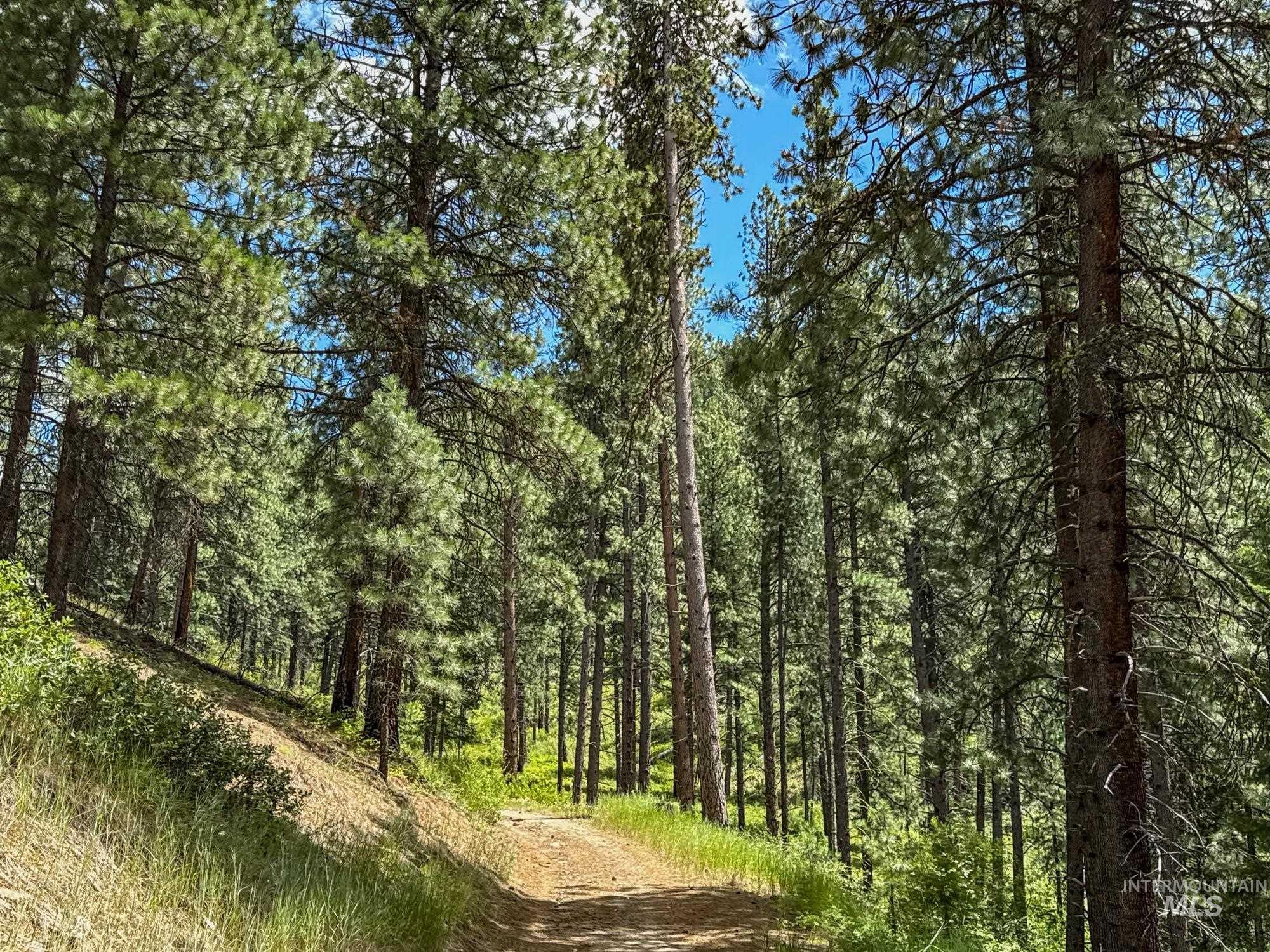 5110 Highway 95, New Meadows, Idaho 83654, 2 Bedrooms, 2 Bathrooms, Farm & Ranch For Sale, Price $3,300,000,MLS 98954753