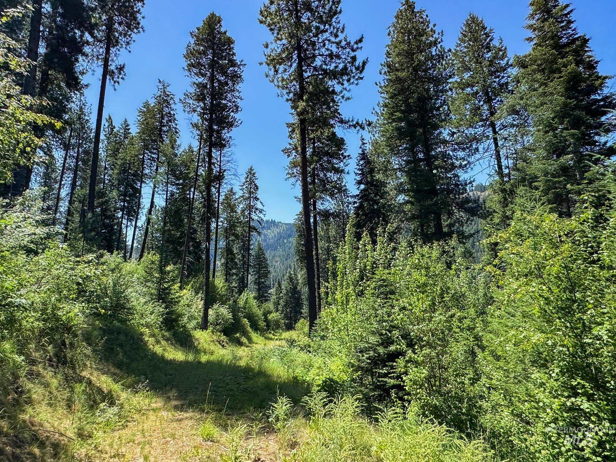 5110 Highway 95, New Meadows, Idaho 83654, 2 Bedrooms, 2 Bathrooms, Farm & Ranch For Sale, Price $3,300,000, 98954753