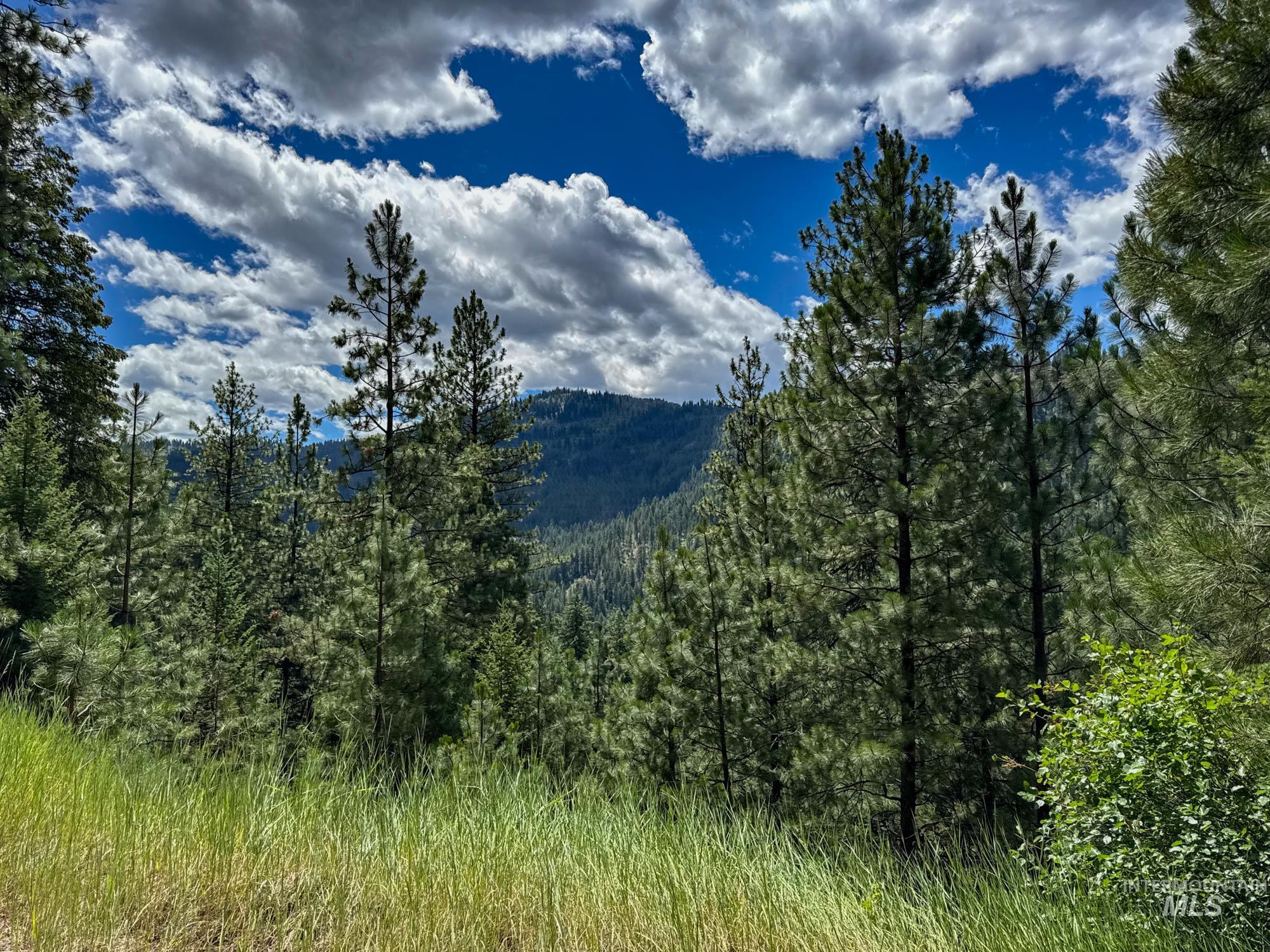 5110 Highway 95, New Meadows, Idaho 83654, 2 Bedrooms, 2 Bathrooms, Farm & Ranch For Sale, Price $3,300,000, 98954753