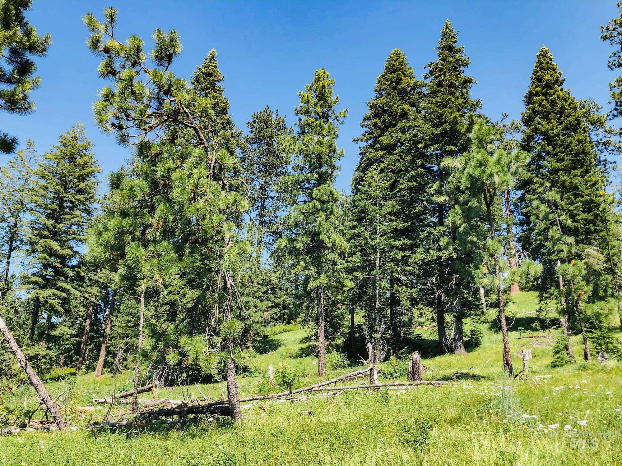 5110 Highway 95, New Meadows, Idaho 83654, 2 Bedrooms, 2 Bathrooms, Farm & Ranch For Sale, Price $3,300,000, 98954753