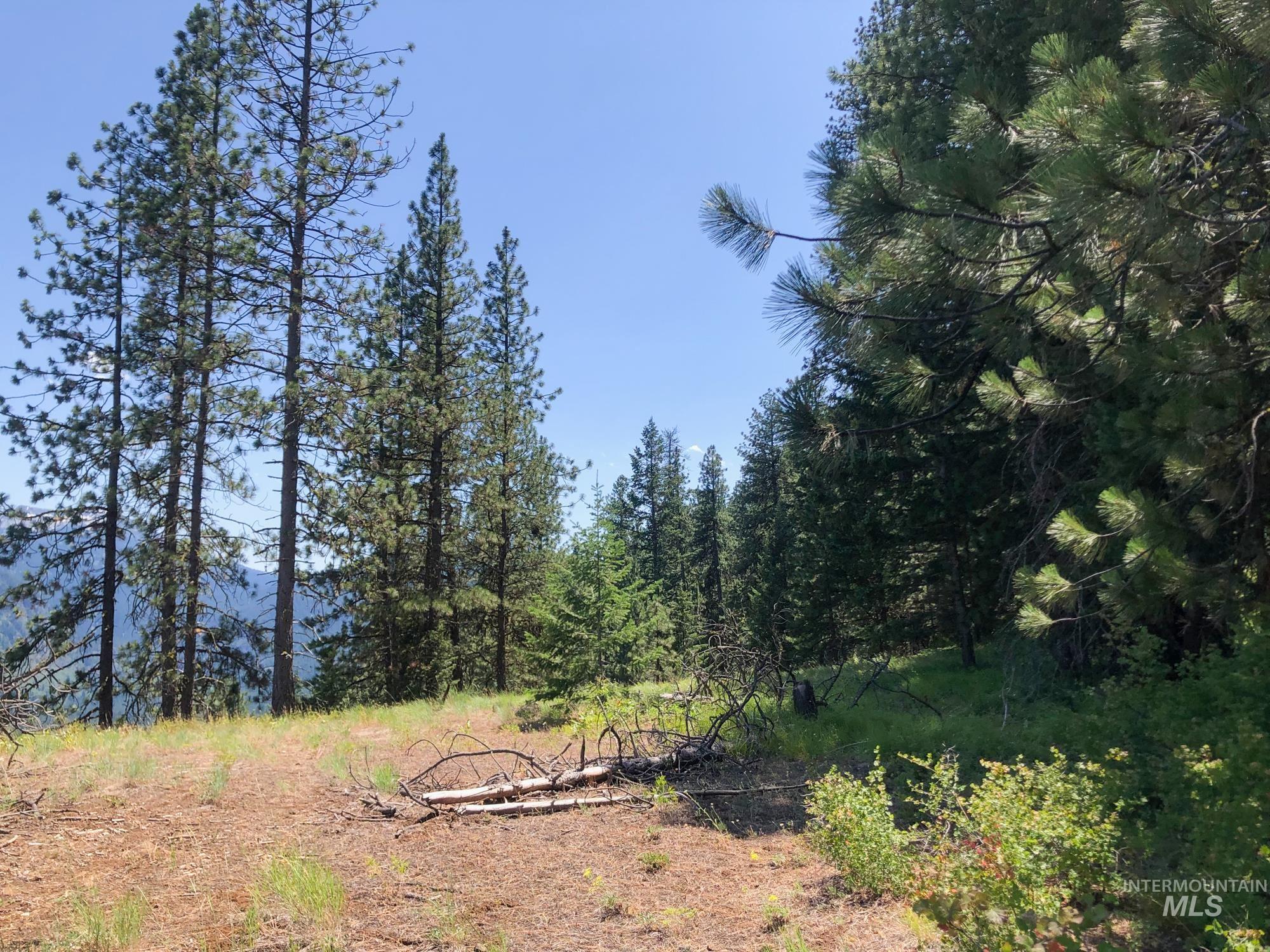 5110 Highway 95, New Meadows, Idaho 83654, 2 Bedrooms, 2 Bathrooms, Farm & Ranch For Sale, Price $3,300,000, 98954753