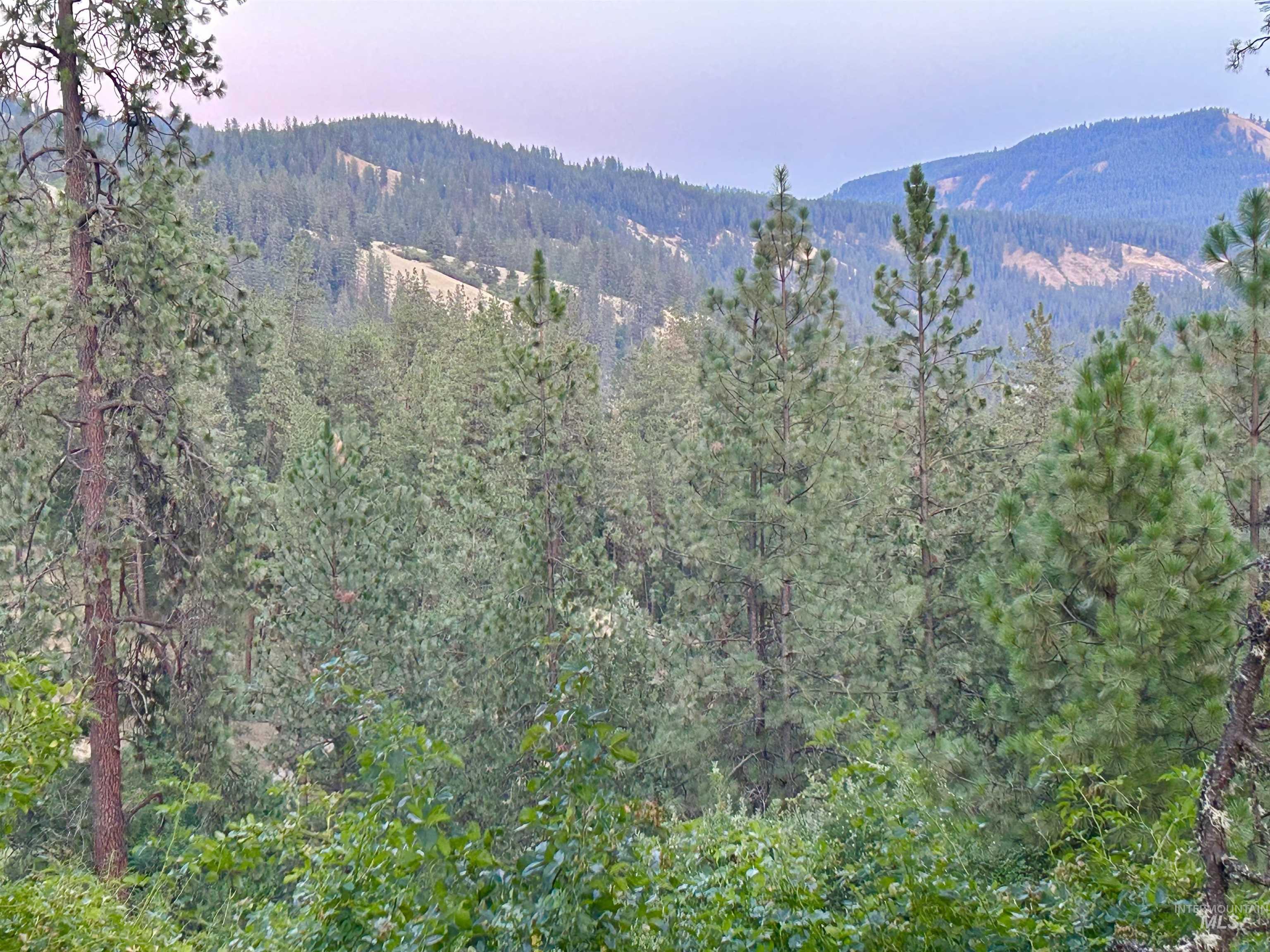 TBD Highland Ct, Orofino, Idaho 83544, Land For Sale, Price $35,000,MLS 98954762