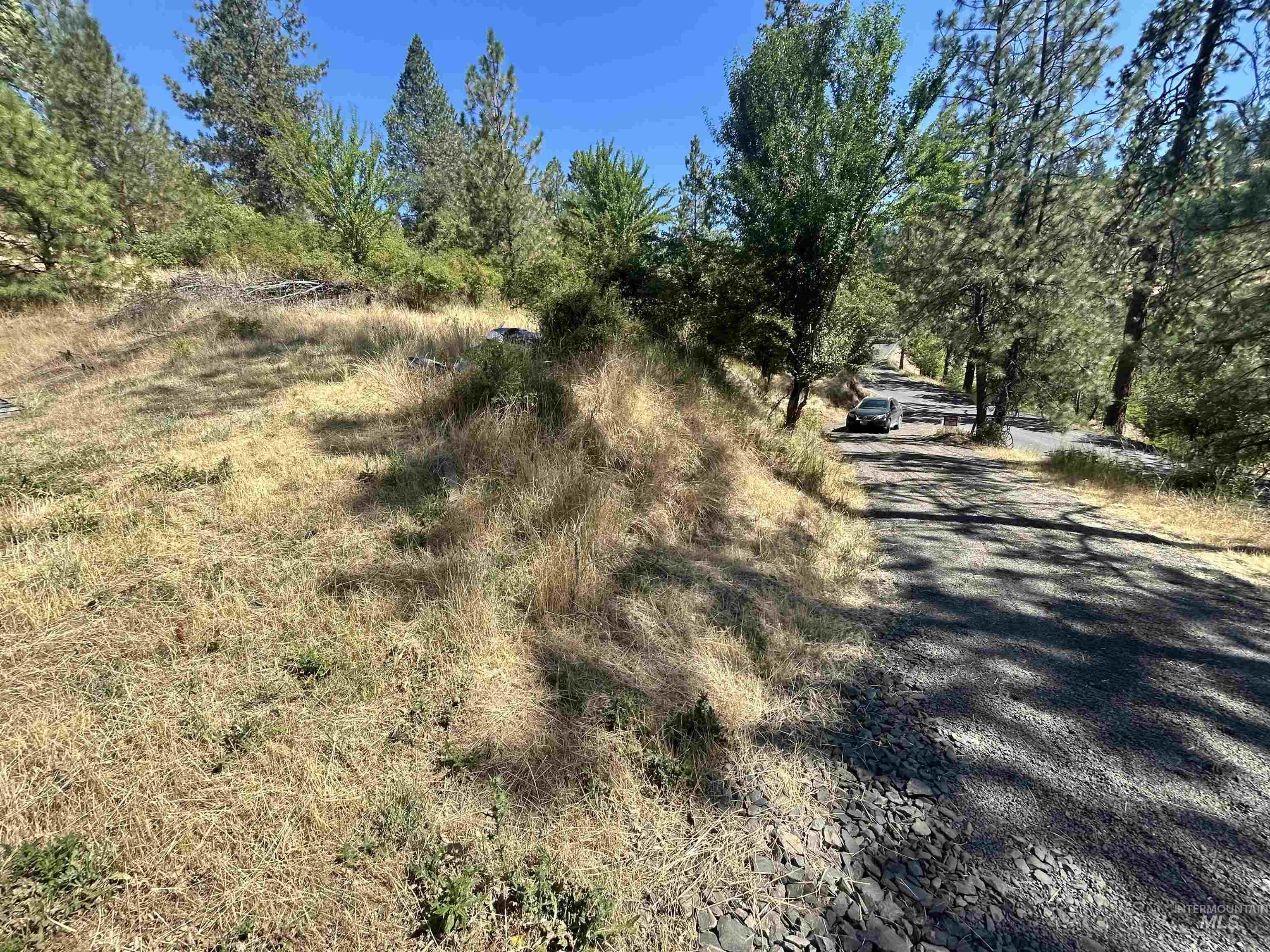TBD Highland Ct, Orofino, Idaho 83544, Land For Sale, Price $35,000,MLS 98954762