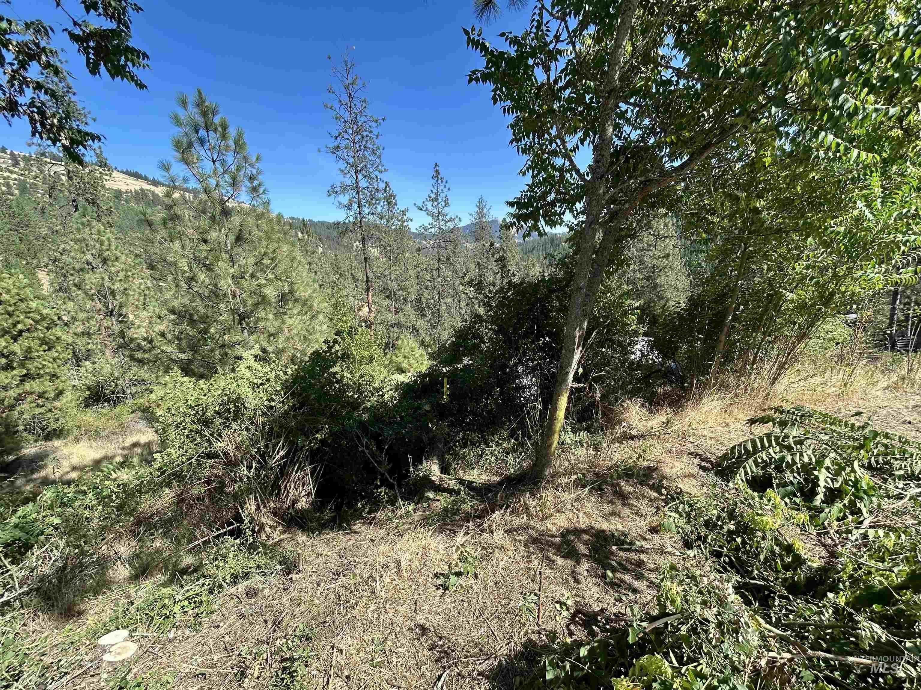 TBD Highland Ct, Orofino, Idaho 83544, Land For Sale, Price $35,000,MLS 98954762