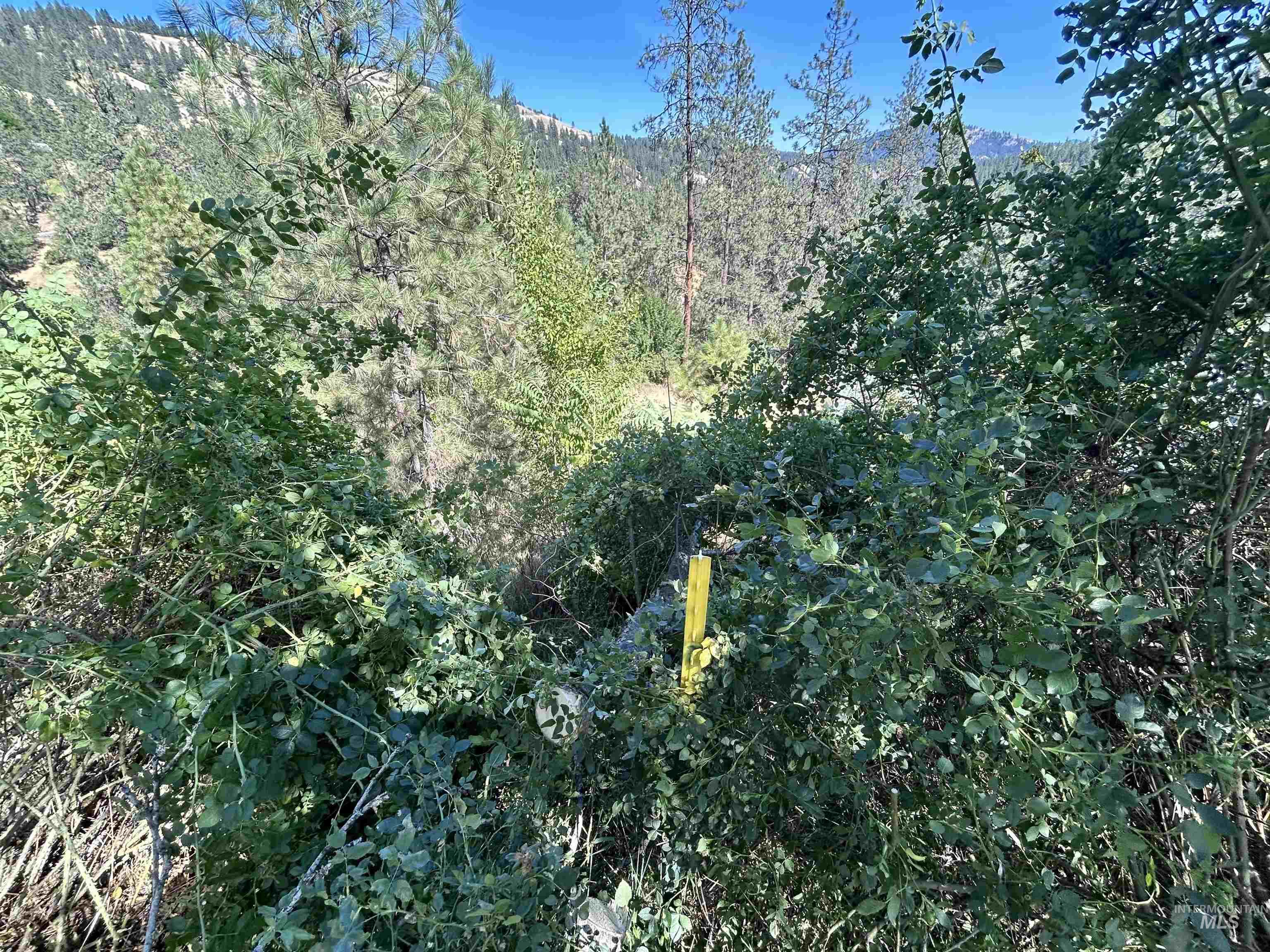 TBD Highland Ct, Orofino, Idaho 83544, Land For Sale, Price $35,000,MLS 98954762