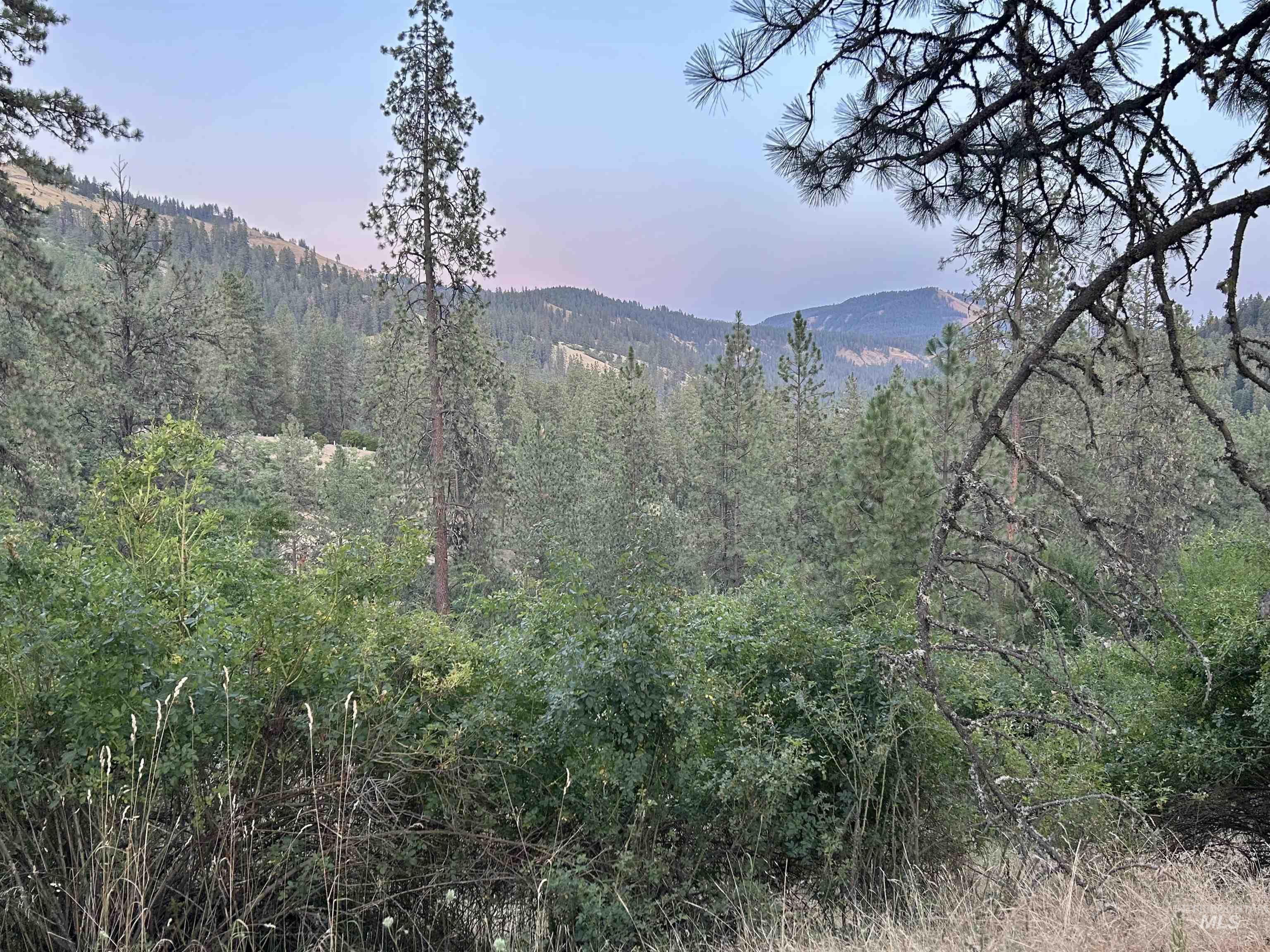 TBD Highland Ct, Orofino, Idaho 83544, Land For Sale, Price $35,000,MLS 98954762