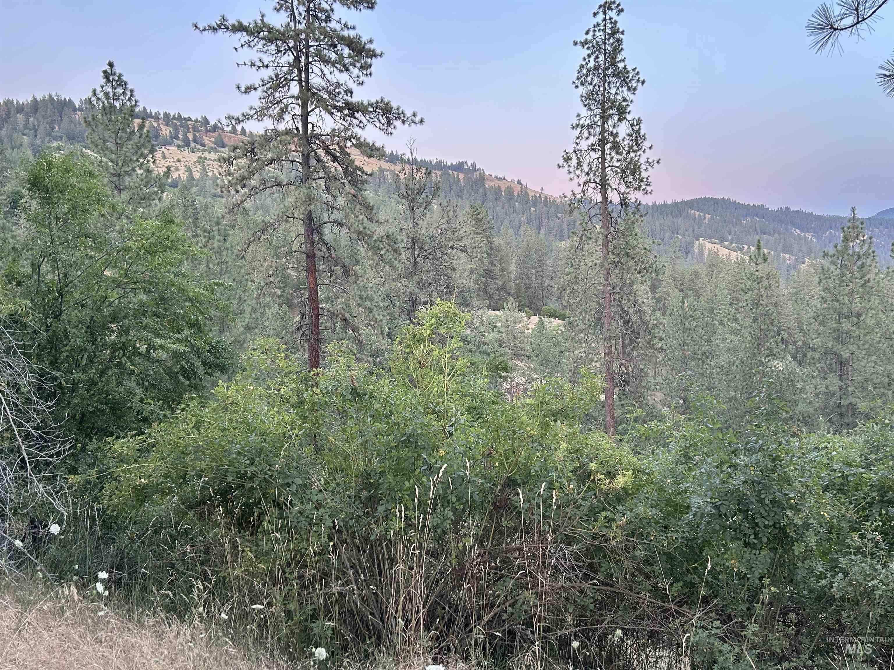 TBD Highland Ct, Orofino, Idaho 83544, Land For Sale, Price $35,000,MLS 98954762