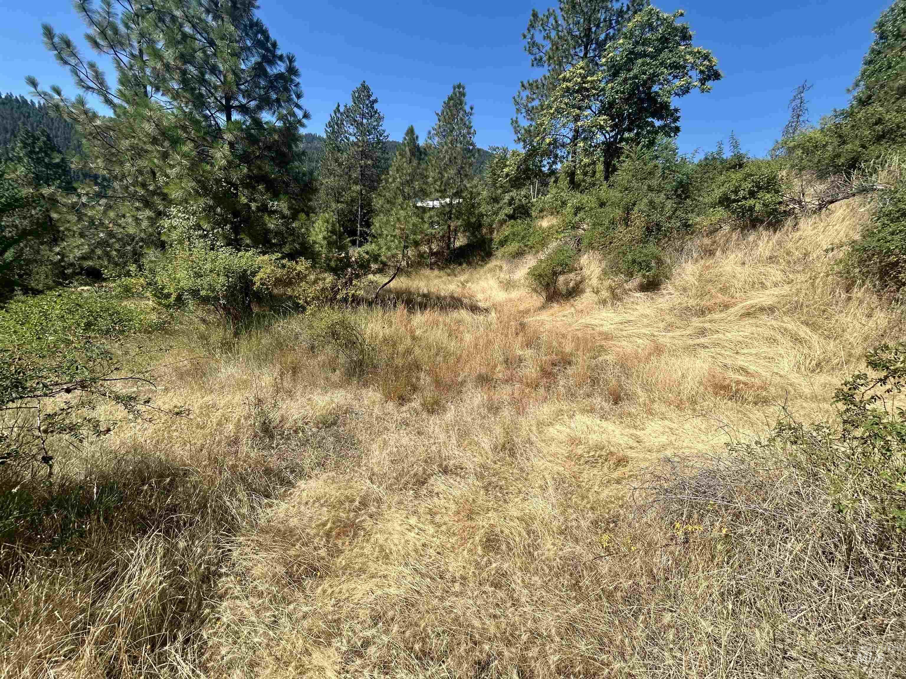 TBD Highland Ct, Orofino, Idaho 83544, Land For Sale, Price $35,000,MLS 98954762