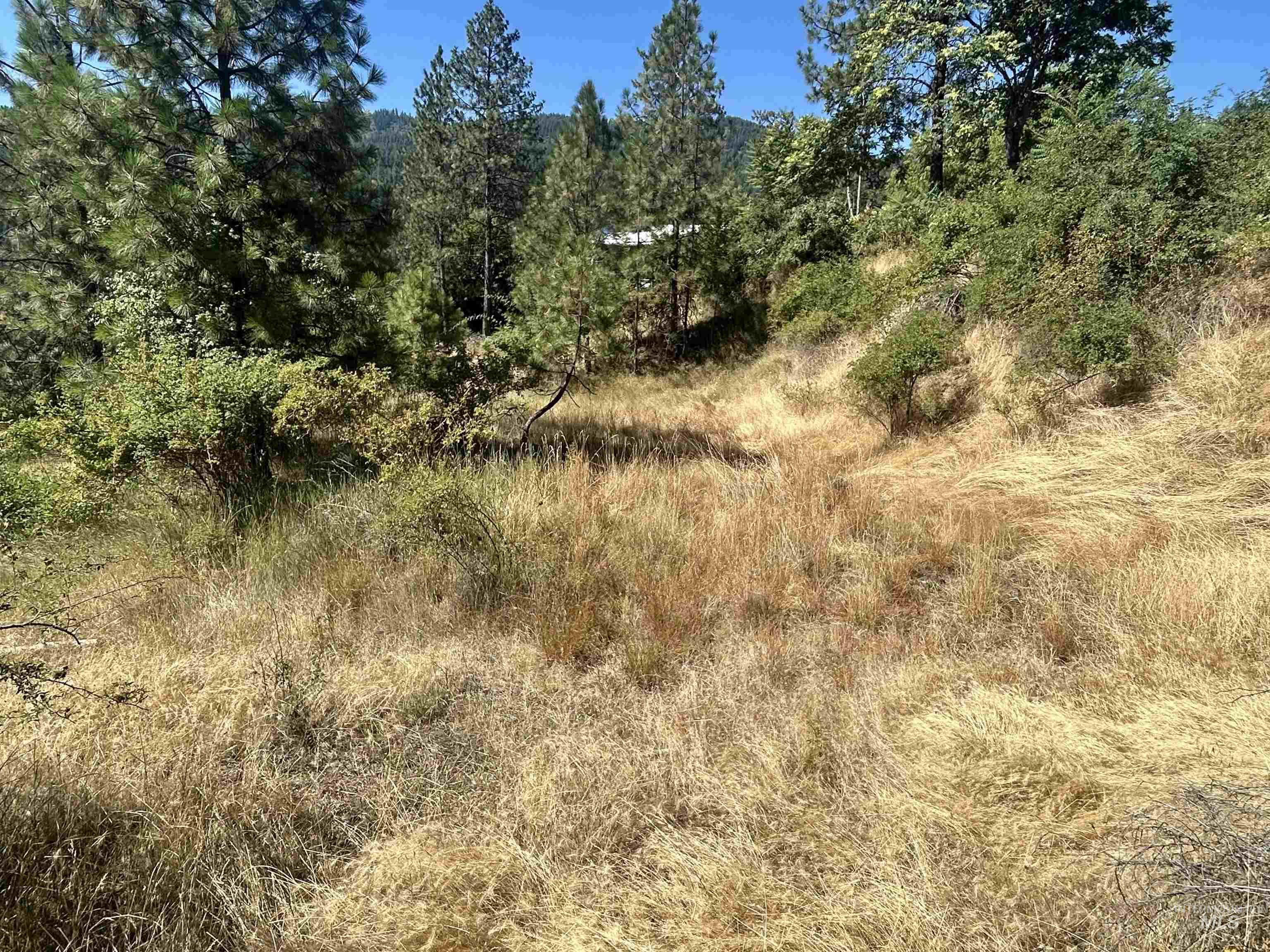 TBD Highland Ct, Orofino, Idaho 83544, Land For Sale, Price $35,000,MLS 98954762