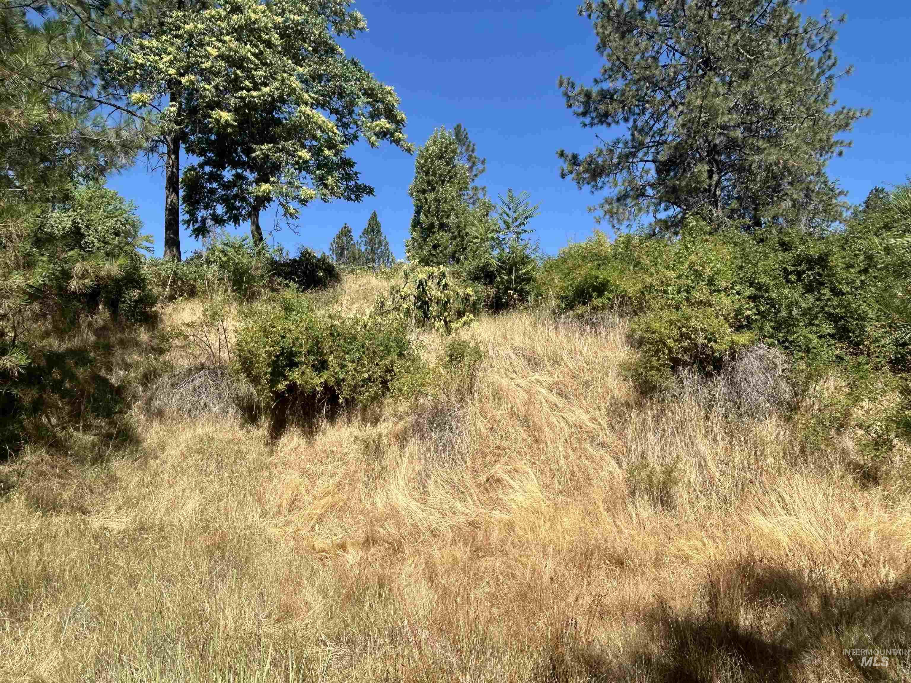 TBD Highland Ct, Orofino, Idaho 83544, Land For Sale, Price $35,000,MLS 98954762