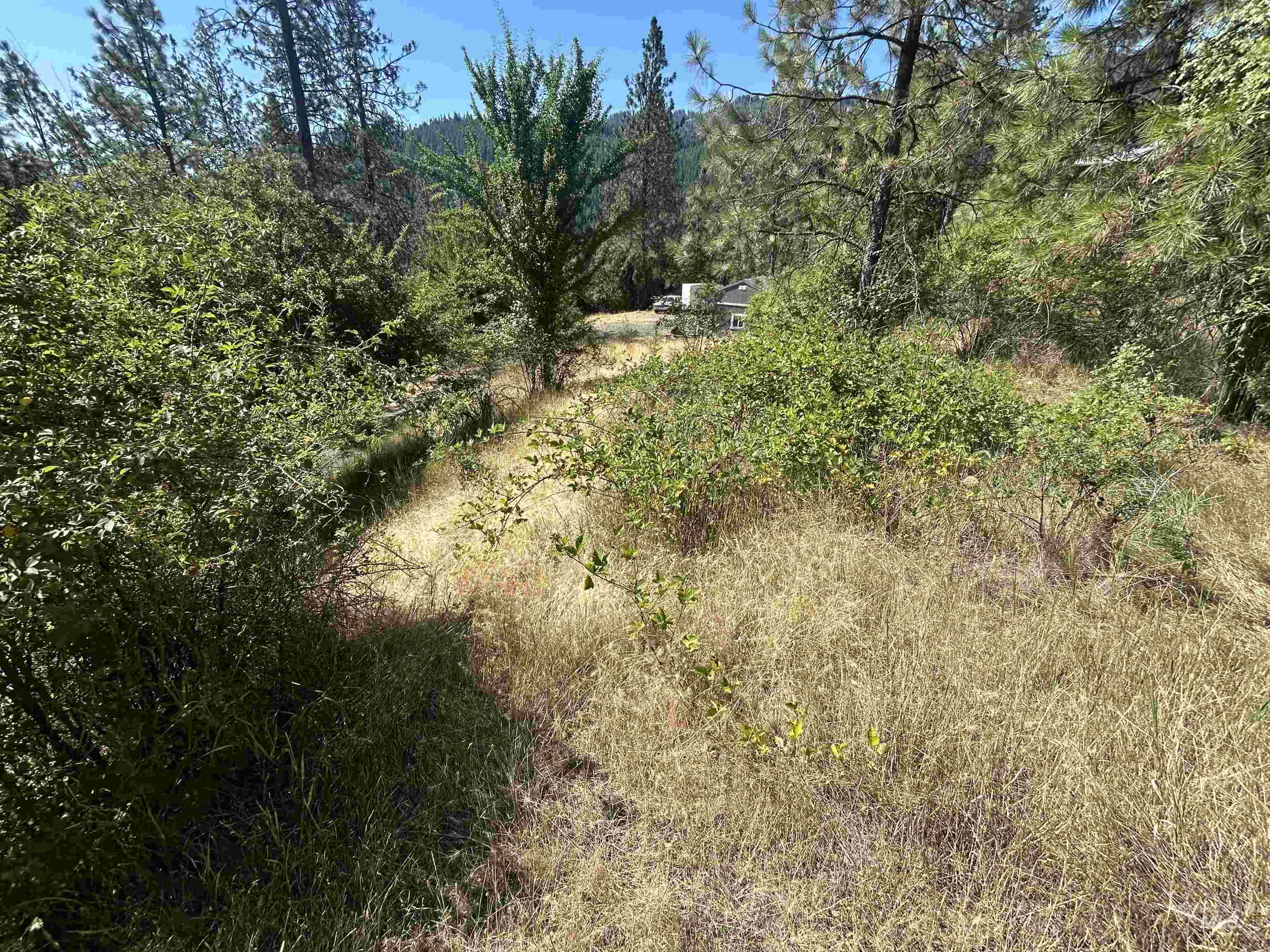 TBD Highland Ct, Orofino, Idaho 83544, Land For Sale, Price $35,000,MLS 98954762