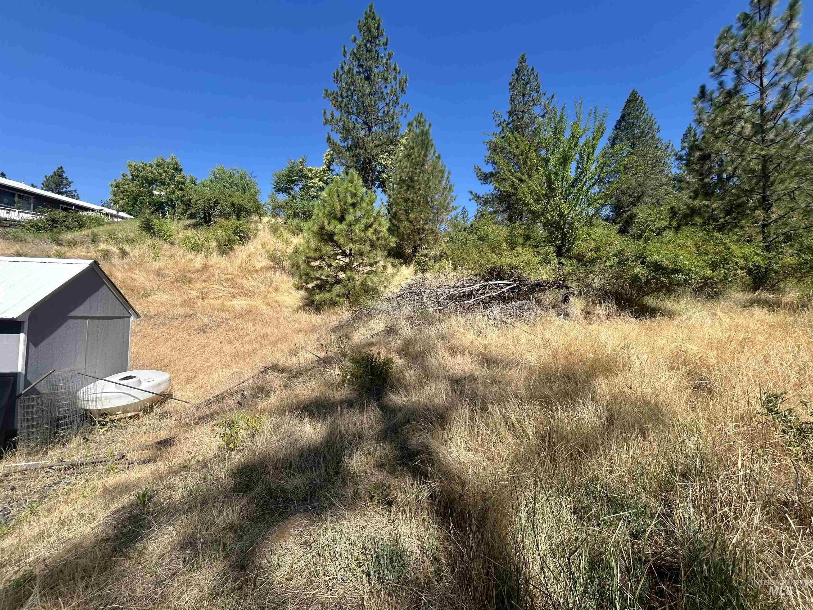 TBD Highland Ct, Orofino, Idaho 83544, Land For Sale, Price $35,000,MLS 98954762