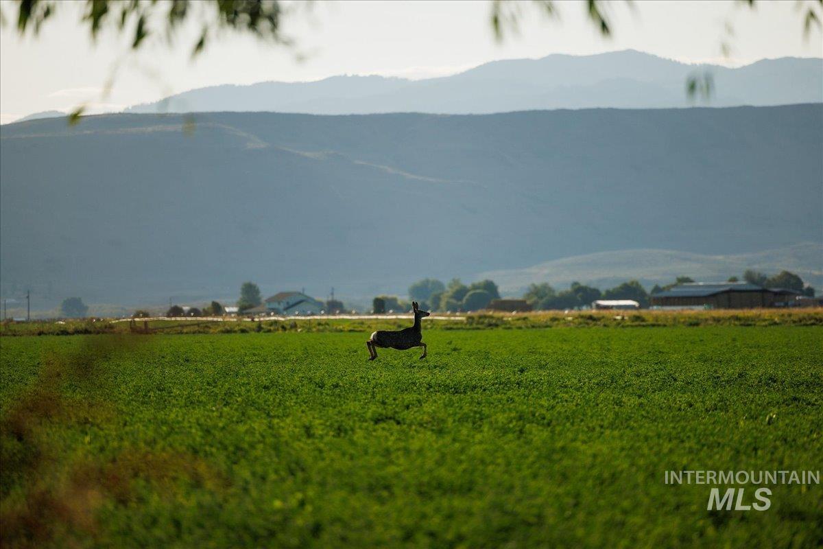 3127 US Hwy 95, Cambridge, Idaho 83610, 3 Bedrooms, 2 Bathrooms, Farm & Ranch For Sale, Price $7,450,000, 98954776