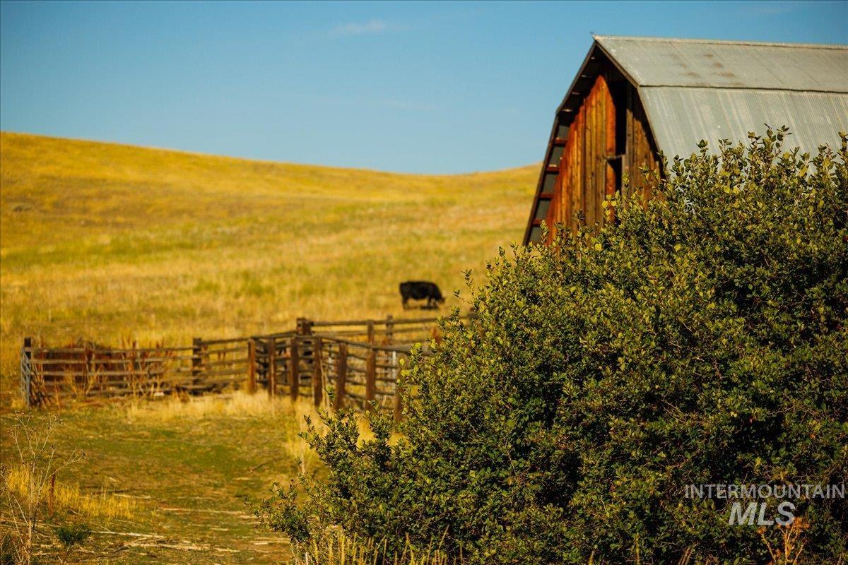 3127 US Hwy 95, Cambridge, Idaho 83610, 3 Bedrooms, 2 Bathrooms, Farm & Ranch For Sale, Price $7,450,000, 98954776