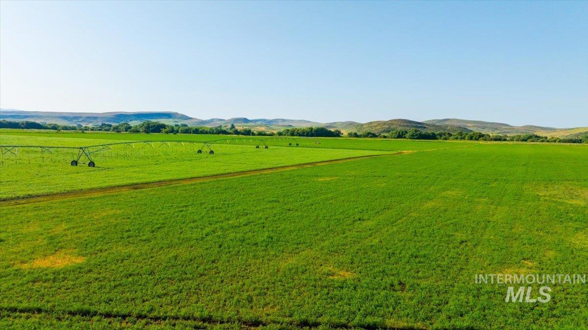 3127 US Hwy 95, Cambridge, Idaho 83610, 3 Bedrooms, 2 Bathrooms, Farm & Ranch For Sale, Price $7,450,000, 98954776