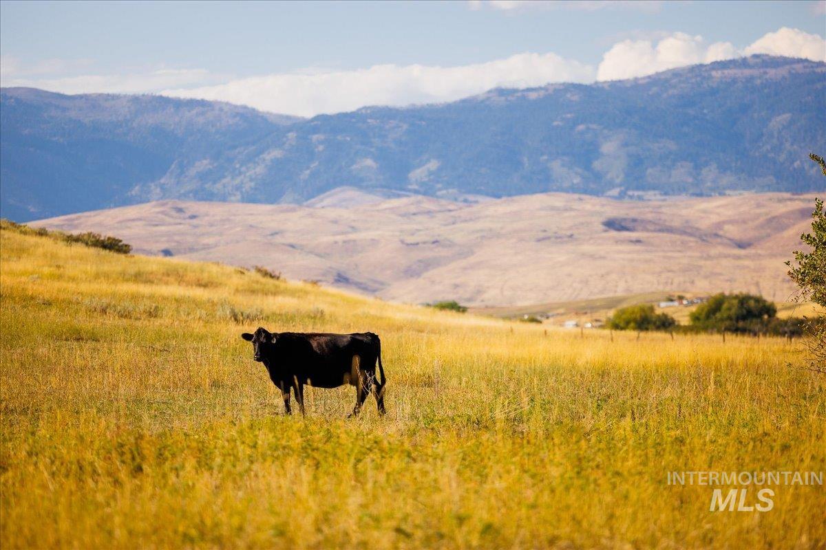 3127 US Hwy 95, Cambridge, Idaho 83610, 3 Bedrooms, 2 Bathrooms, Farm & Ranch For Sale, Price $7,450,000, 98954776