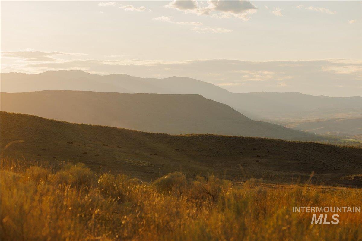 3127 US Hwy 95, Cambridge, Idaho 83610, 3 Bedrooms, 2 Bathrooms, Farm & Ranch For Sale, Price $7,450,000, 98954776