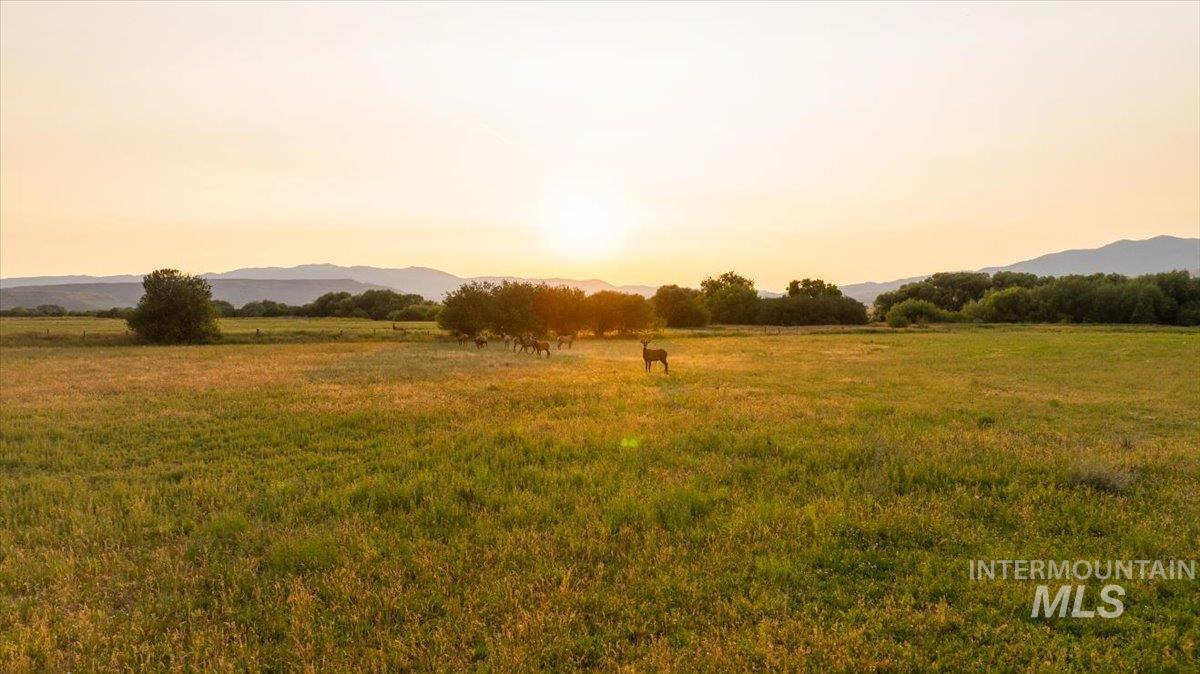 3127 US Hwy 95, Cambridge, Idaho 83610, 3 Bedrooms, 2 Bathrooms, Farm & Ranch For Sale, Price $7,450,000, 98954776